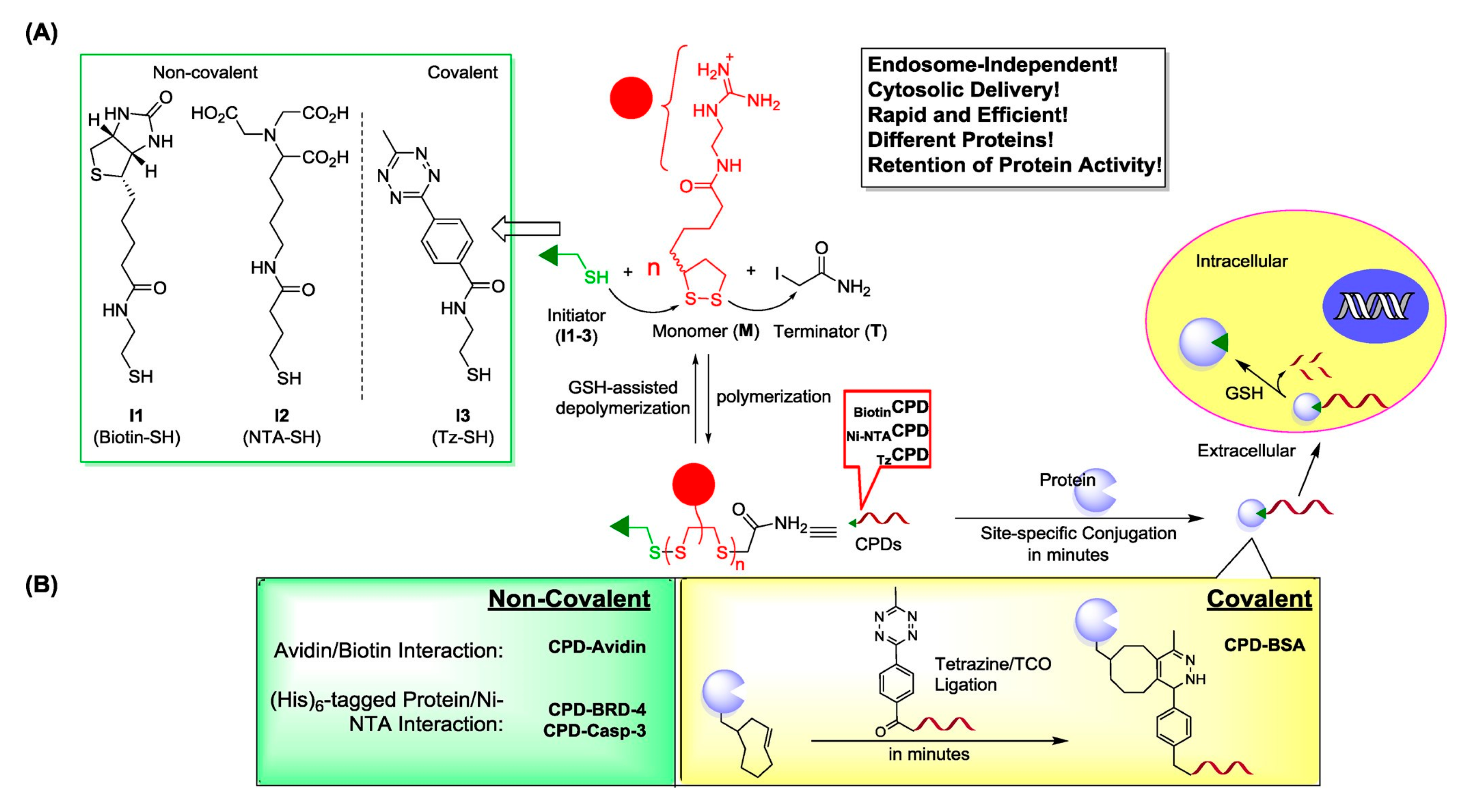 Pharmaceutics 15 01610 g006 Pharmaceutics 15 01610 g006