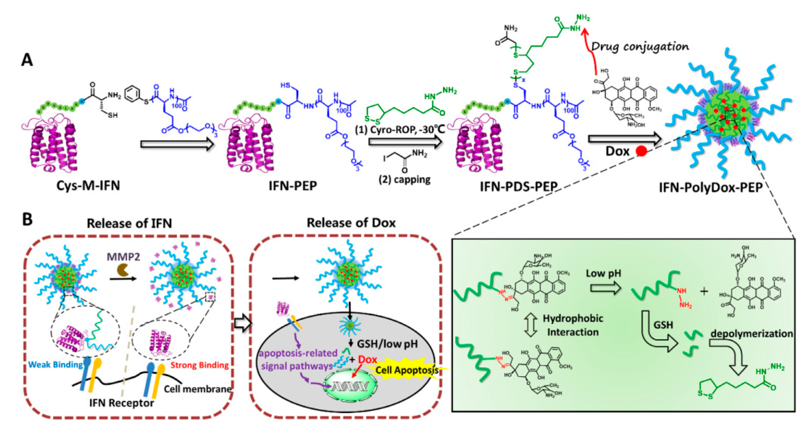 Pharmaceutics 15 01610 g007 Pharmaceutics 15 01610 g007