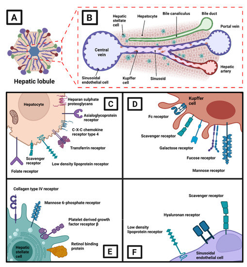 Pharmaceutics 15 01611 g002