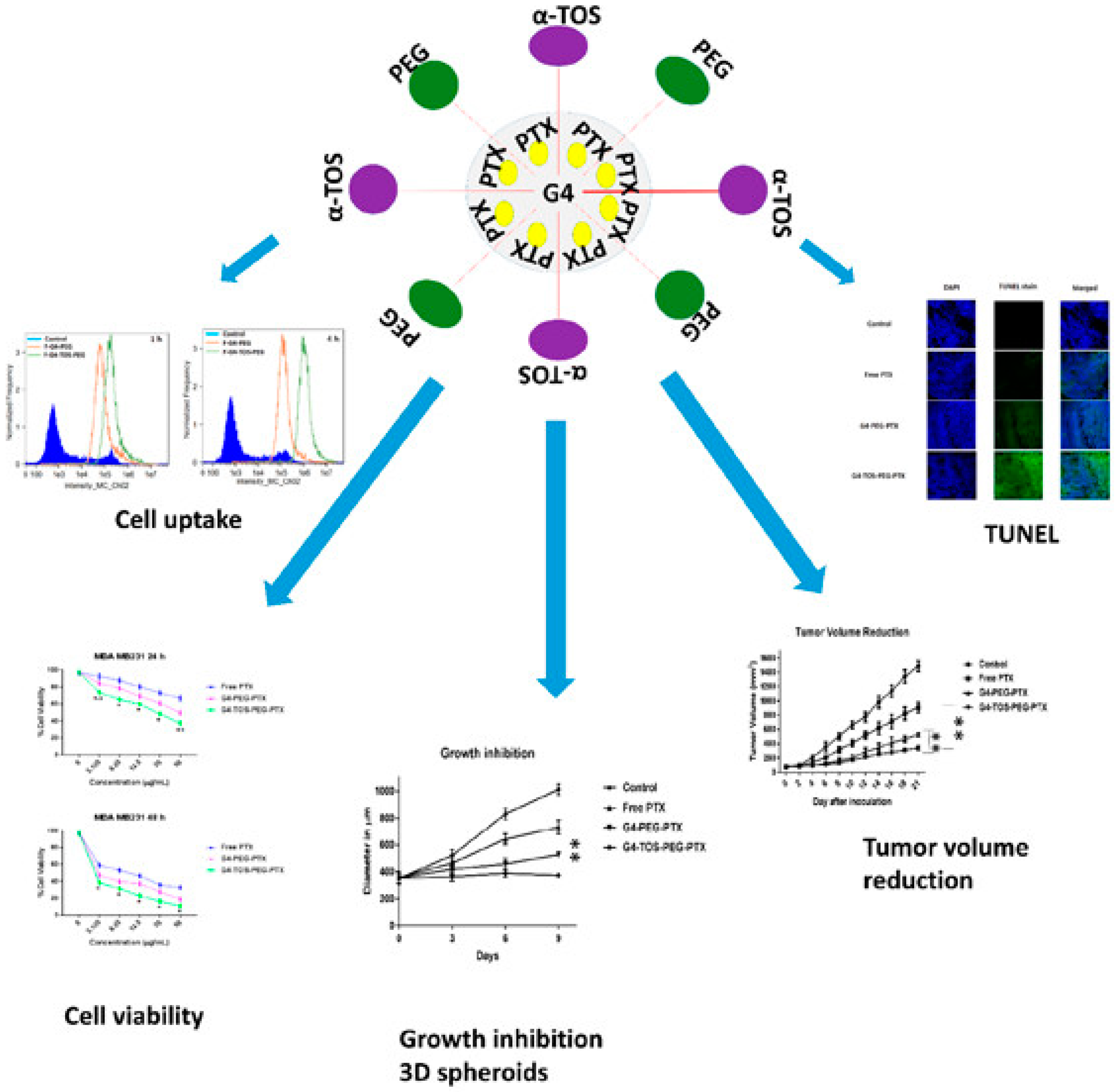 Pharmaceutics 15 01614 g004