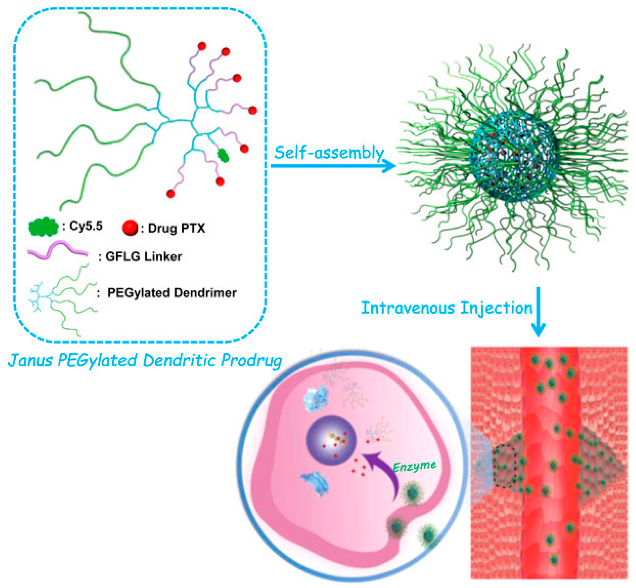 Pharmaceutics 15 01614 g007