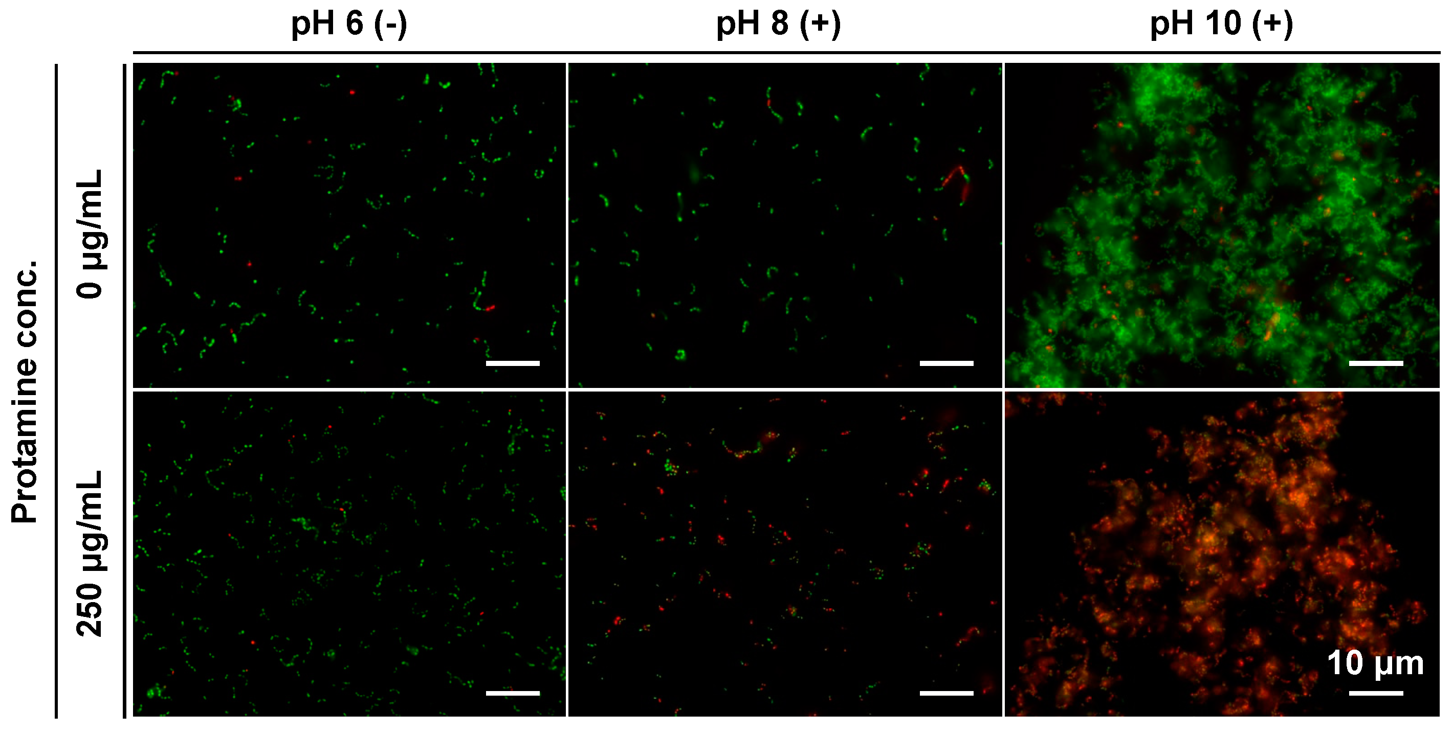Pharmaceutics 15 01629 g008