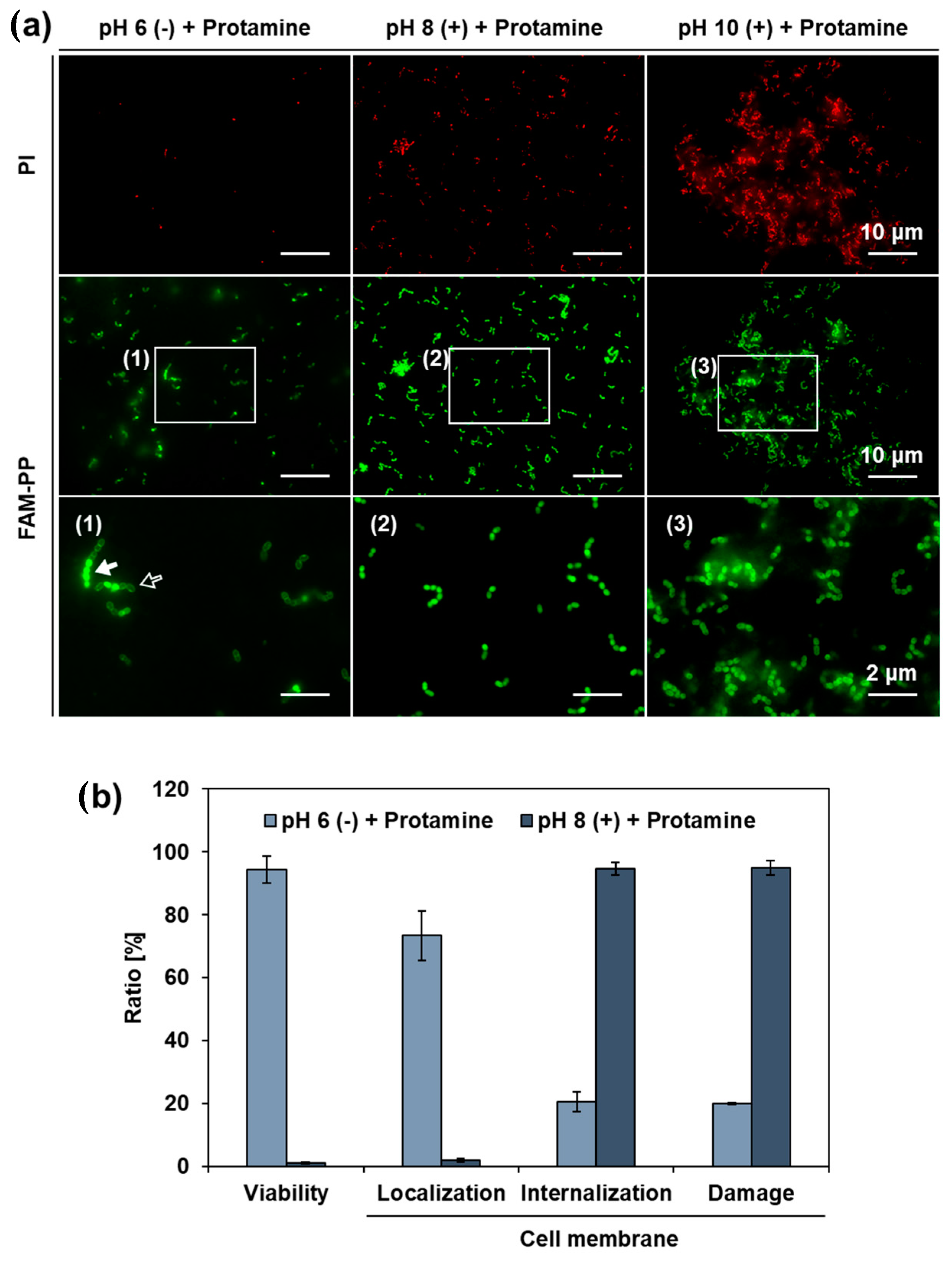 Pharmaceutics 15 01629 g009