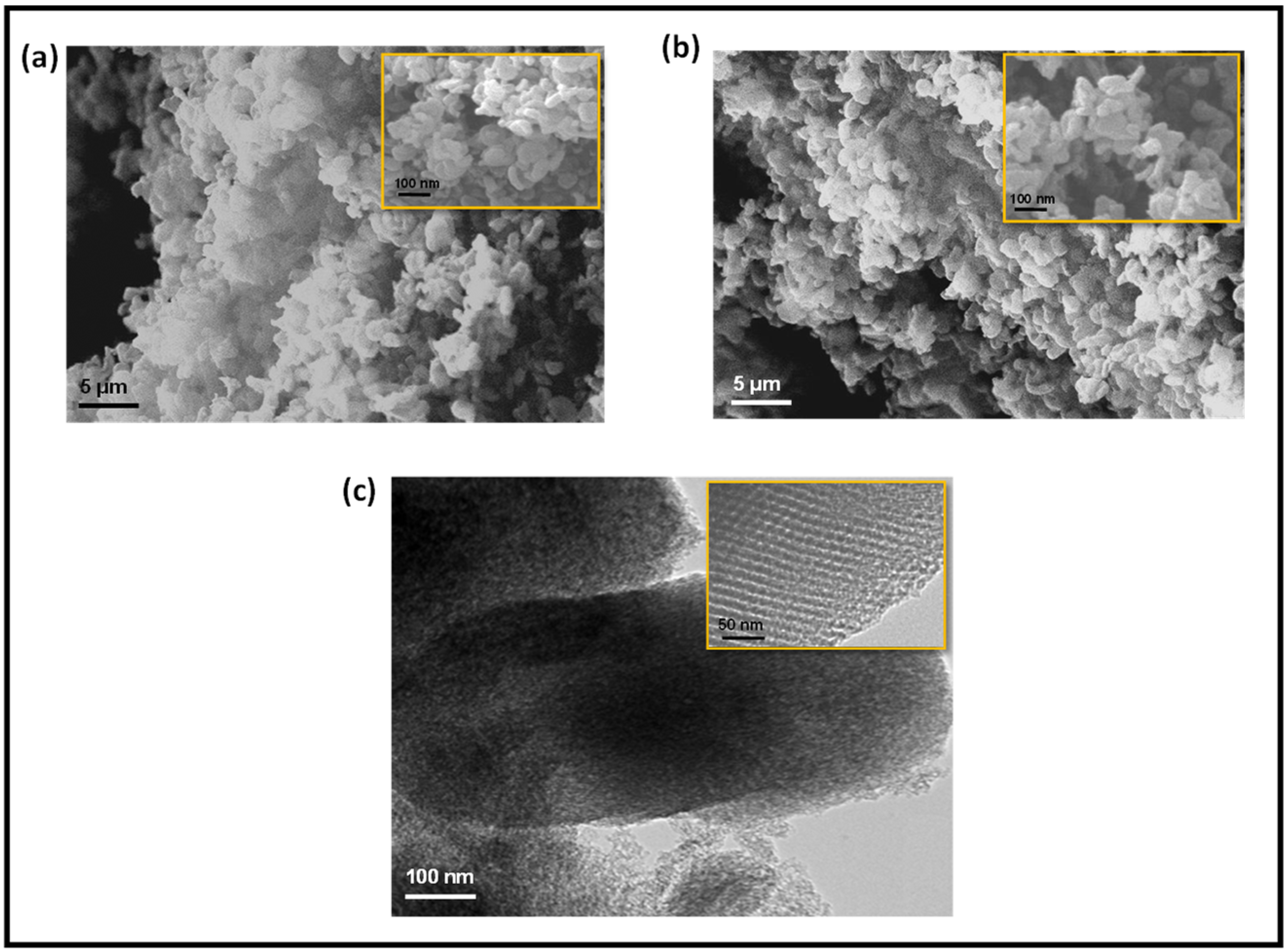 Pharmaceutics 15 01631 g002