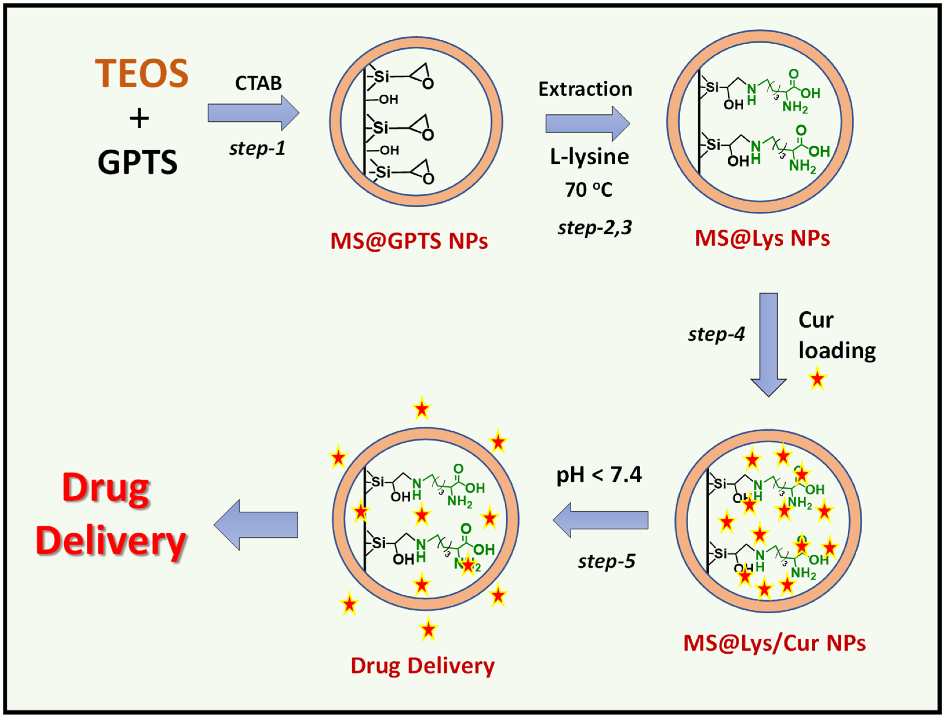 Pharmaceutics 15 01631 sch001