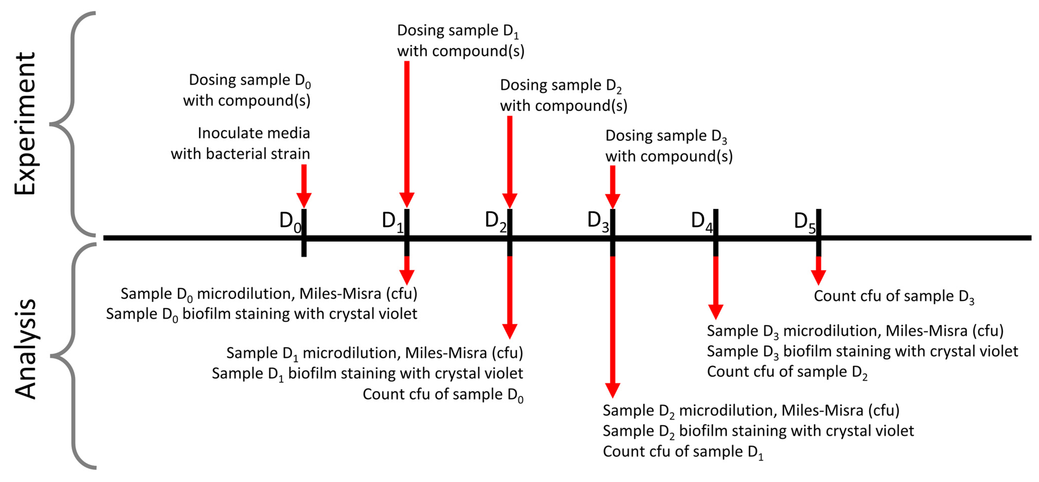 Pharmaceutics 15 01633 g002