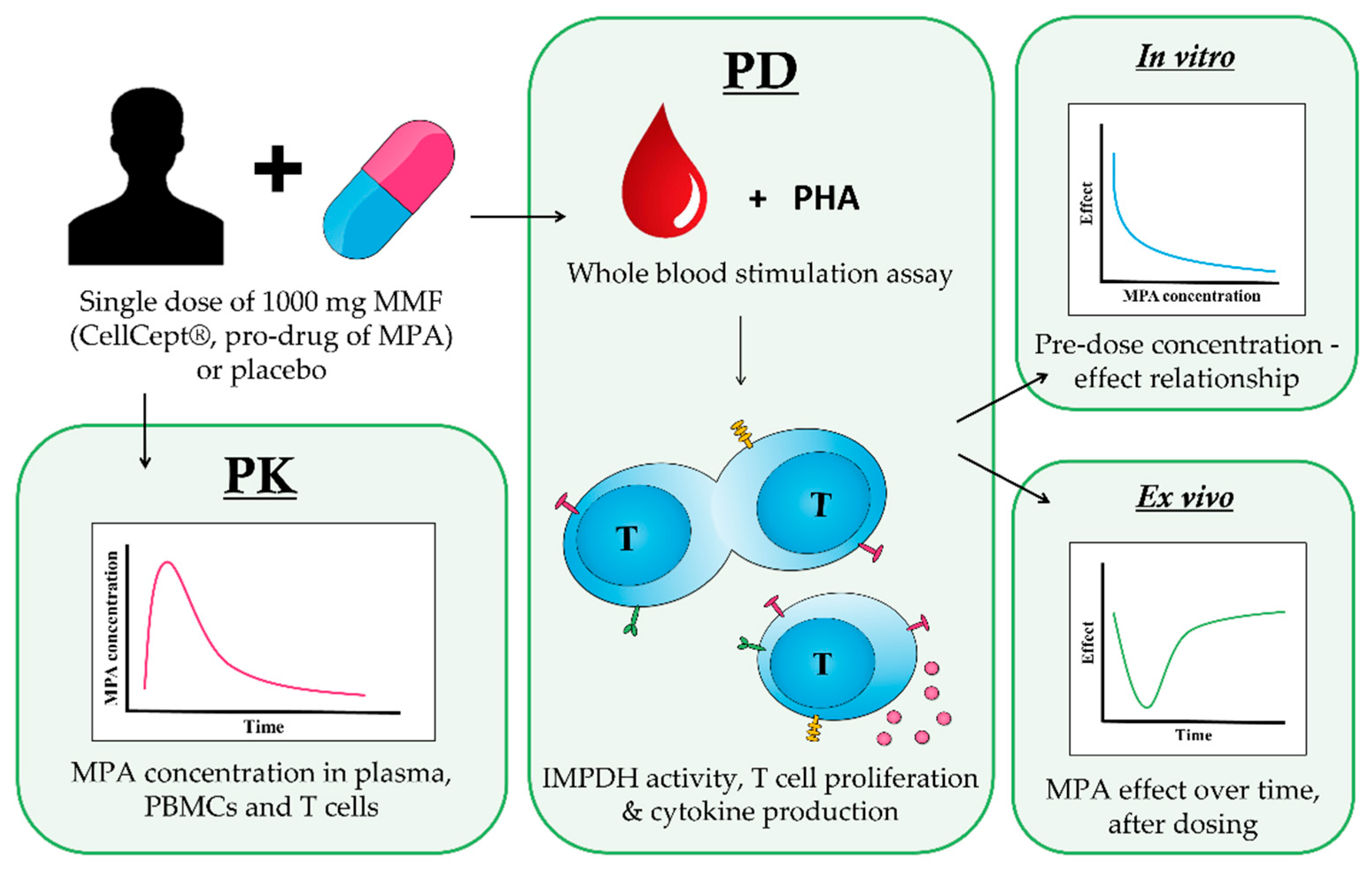 Pharmaceutics 15 01635 g001