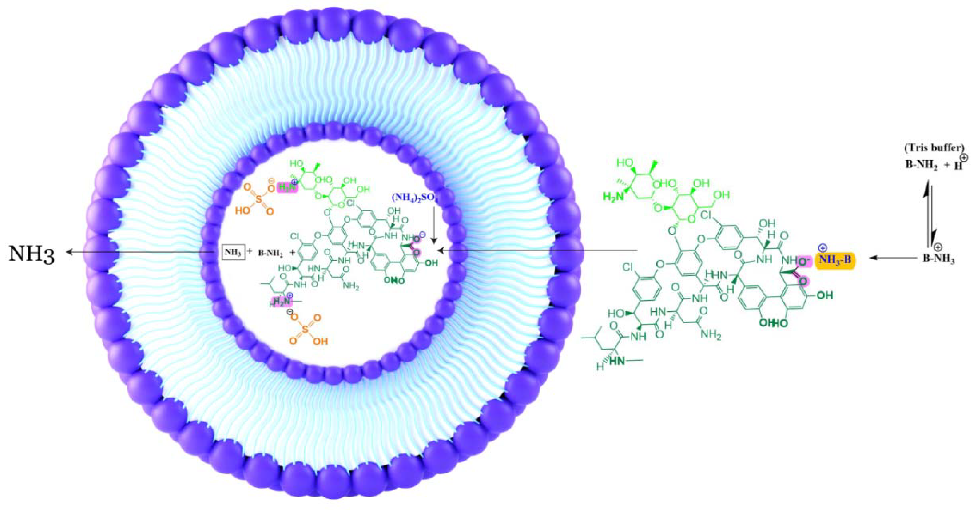 Pharmaceutics 15 01636 g001