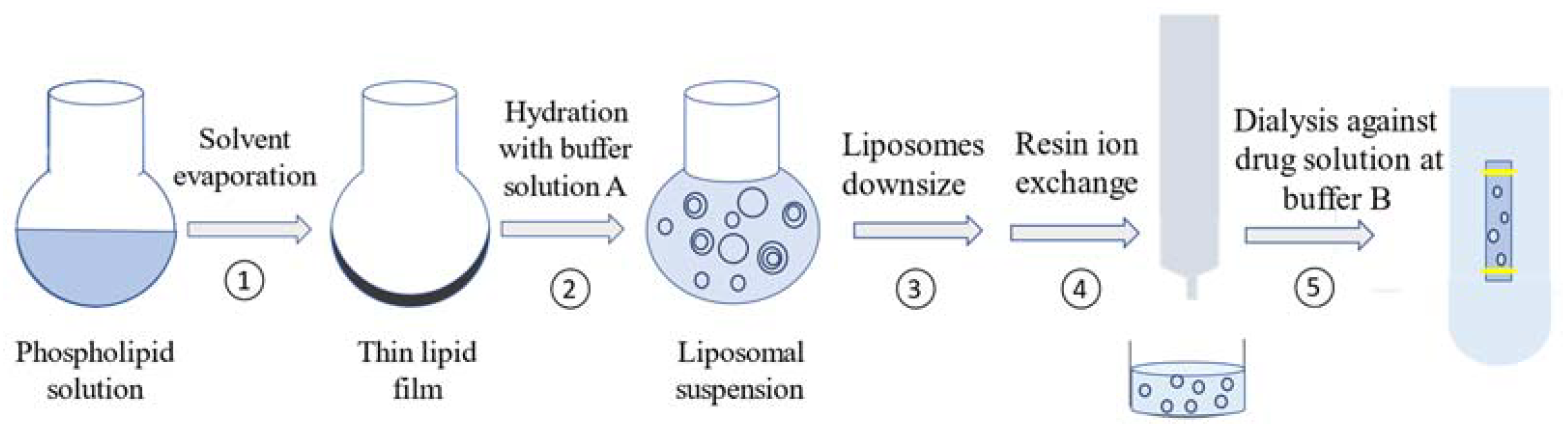 Pharmaceutics 15 01636 g003