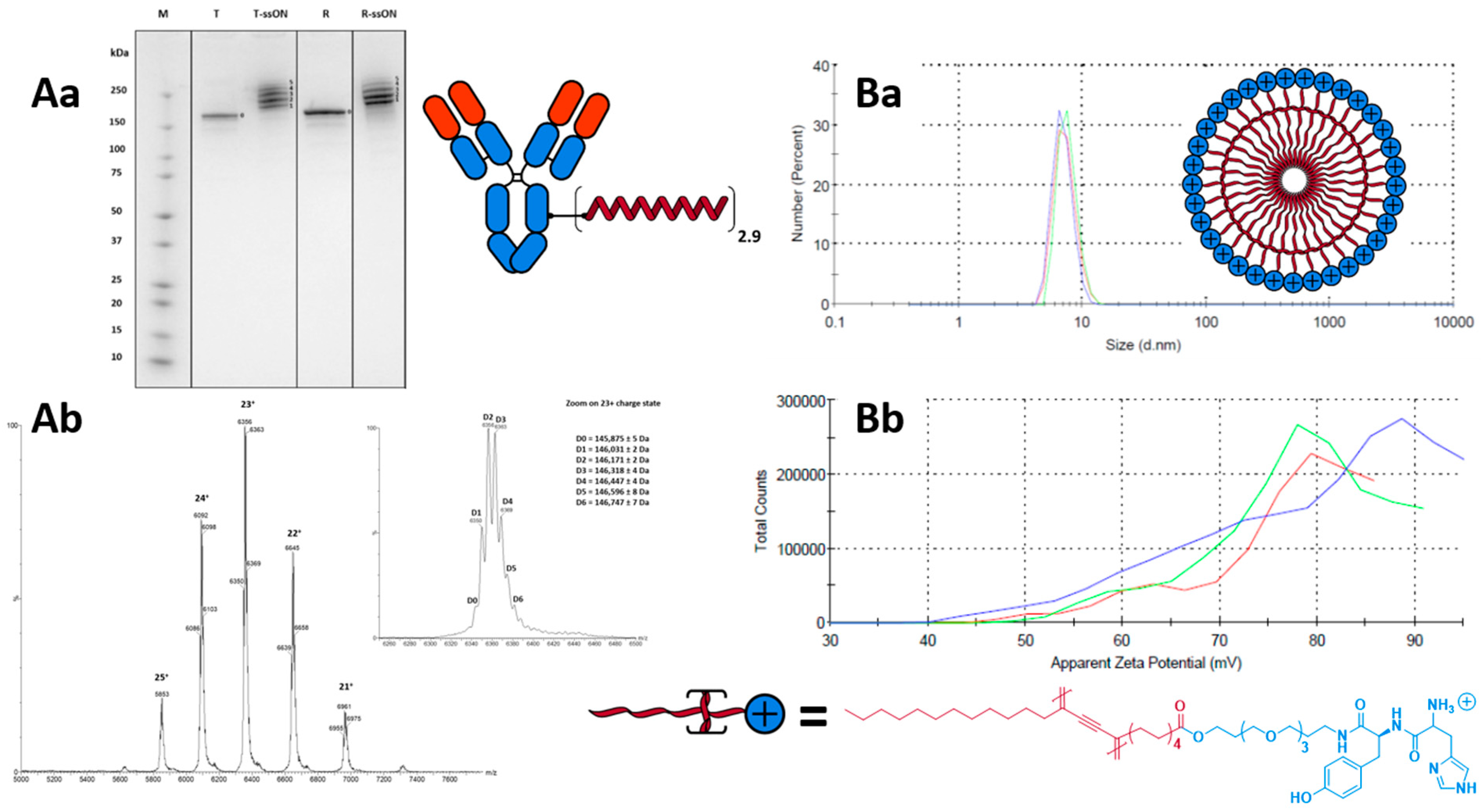 Pharmaceutics 15 01643 g002 Pharmaceutics 15 01643 g002