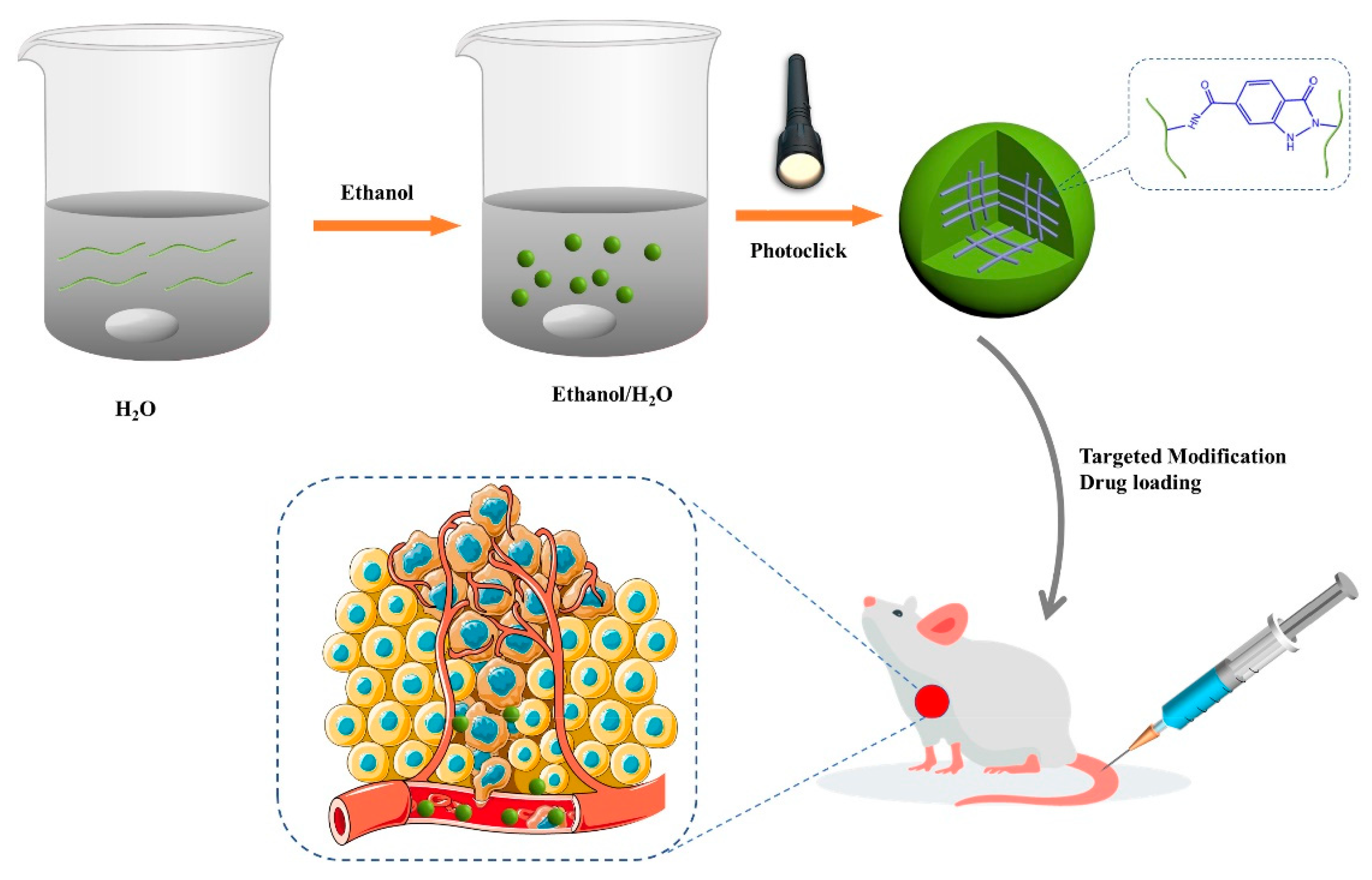 Pharmaceutics 15 01644 g001