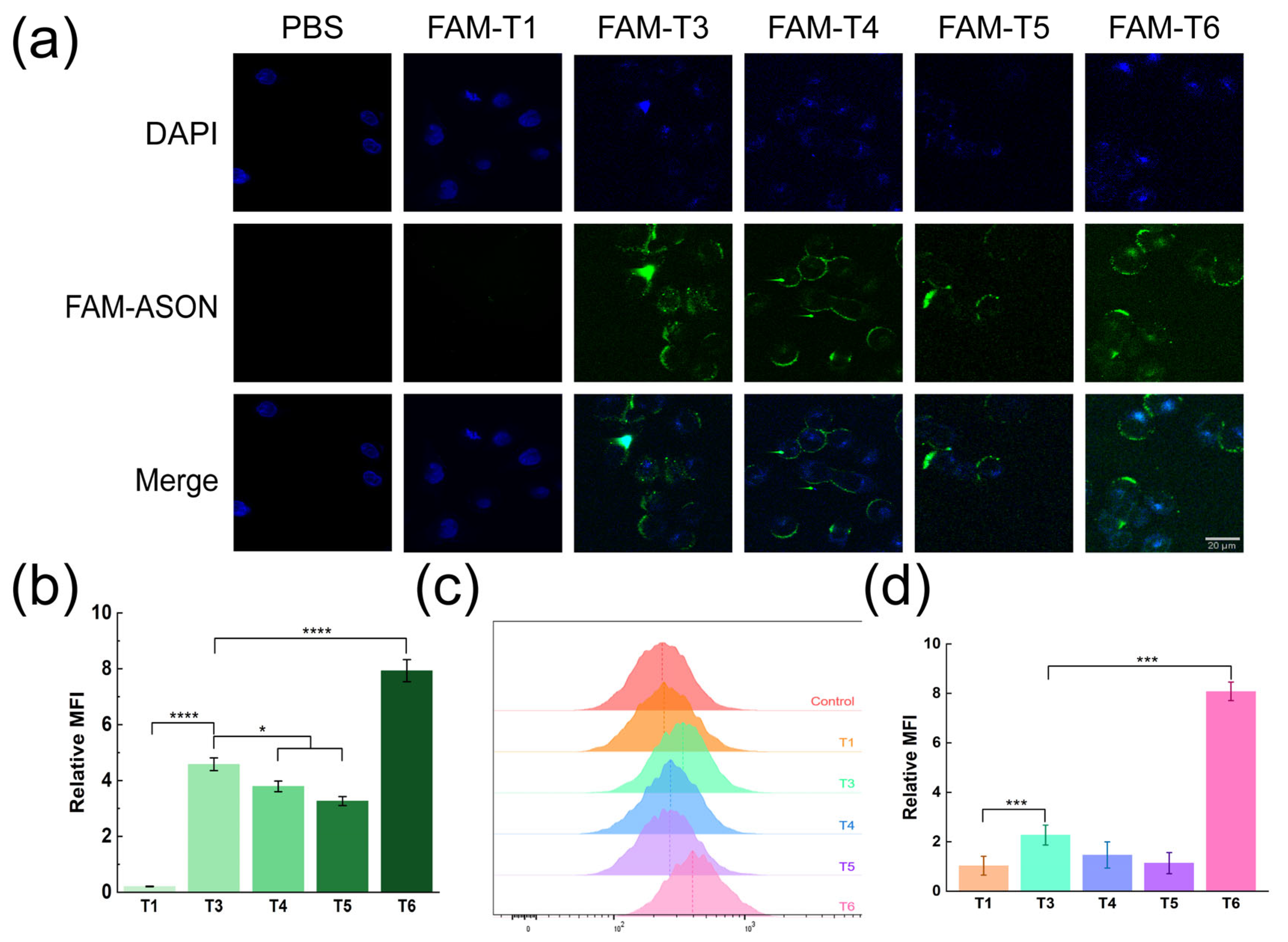 Pharmaceutics 15 01645 g004