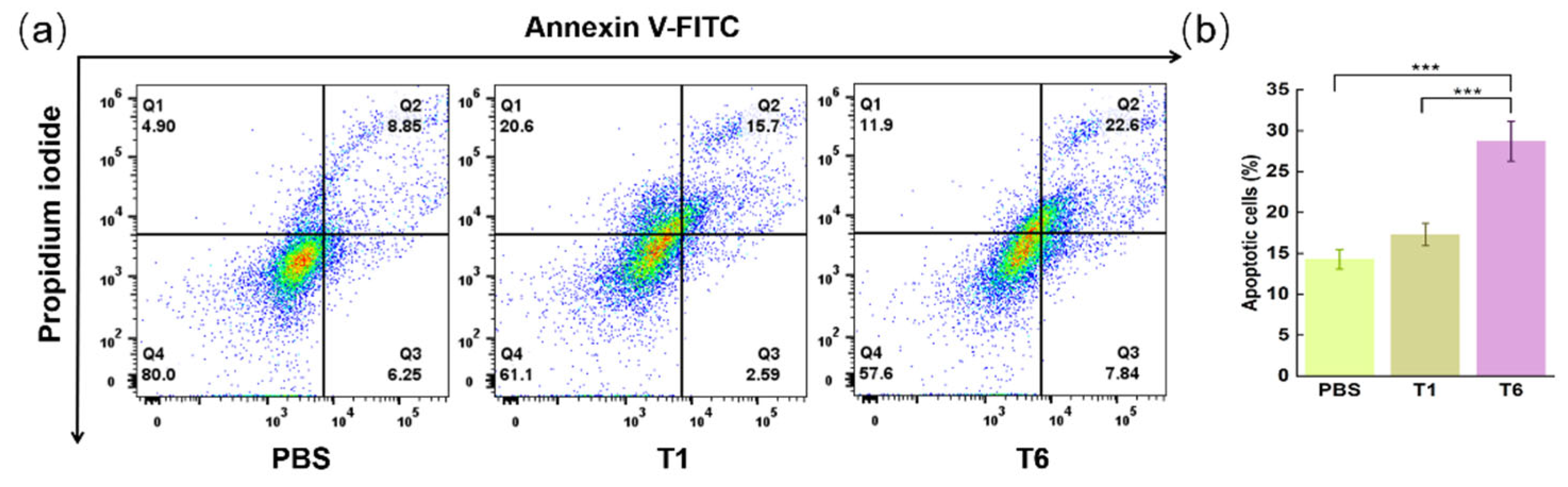 Pharmaceutics 15 01645 g007
