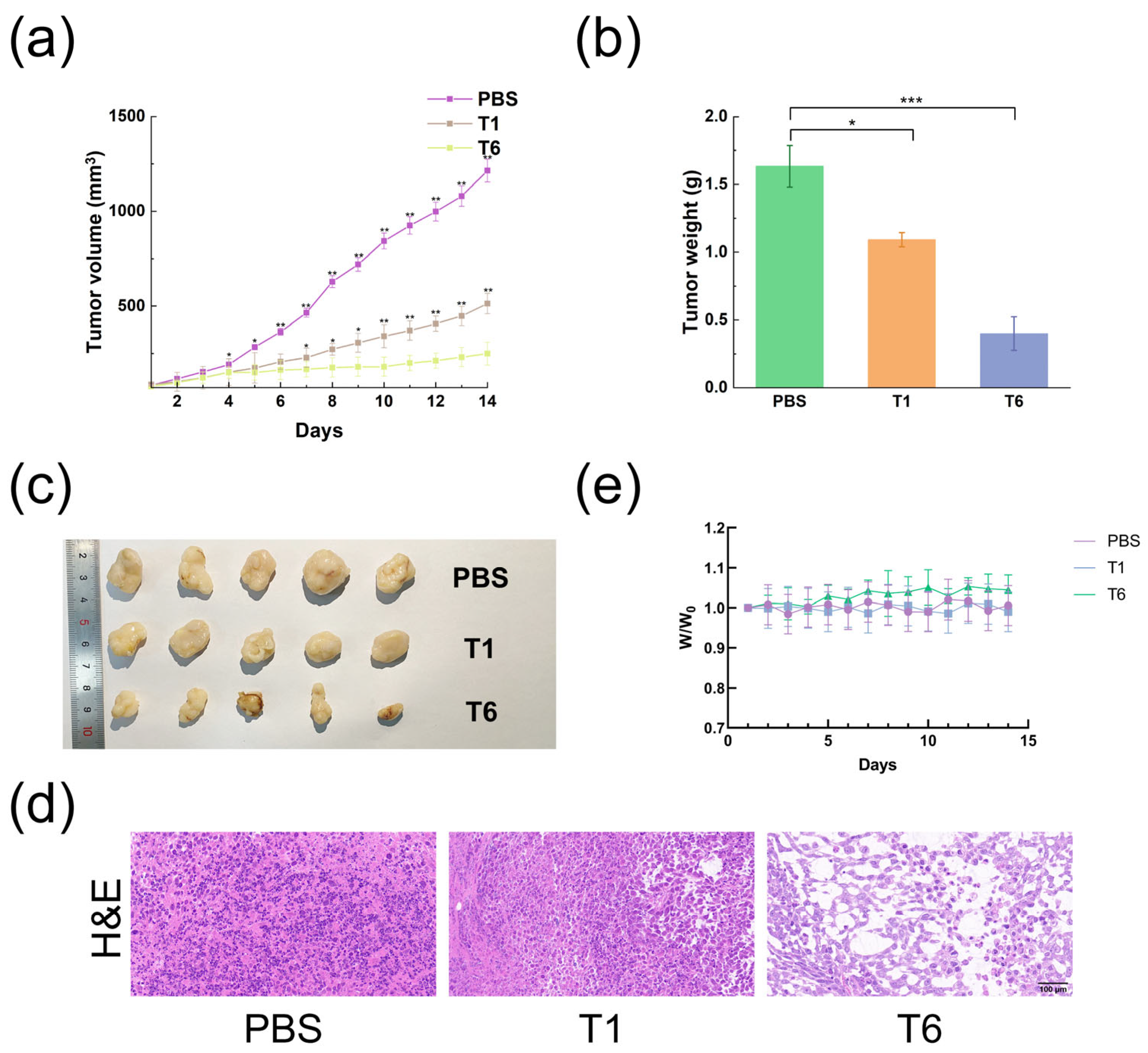 Pharmaceutics 15 01645 g009