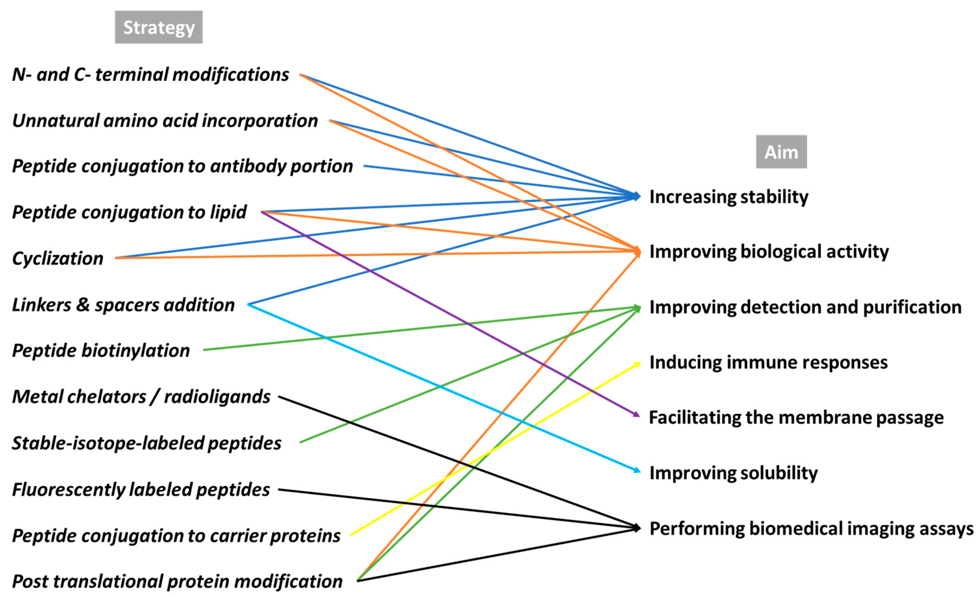 Pharmaceutics 15 01648 g002