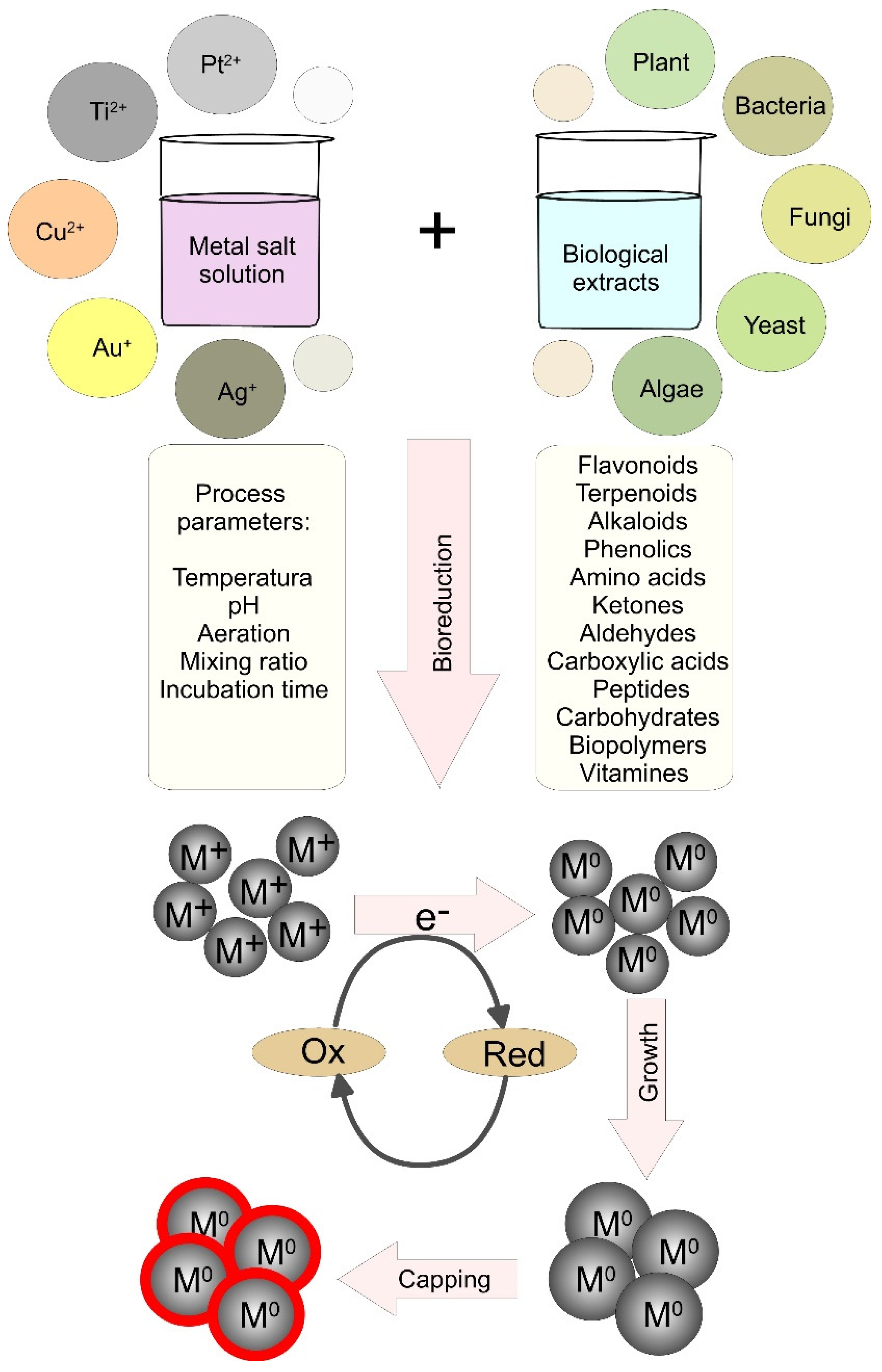 Pharmaceutics 15 01650 g002