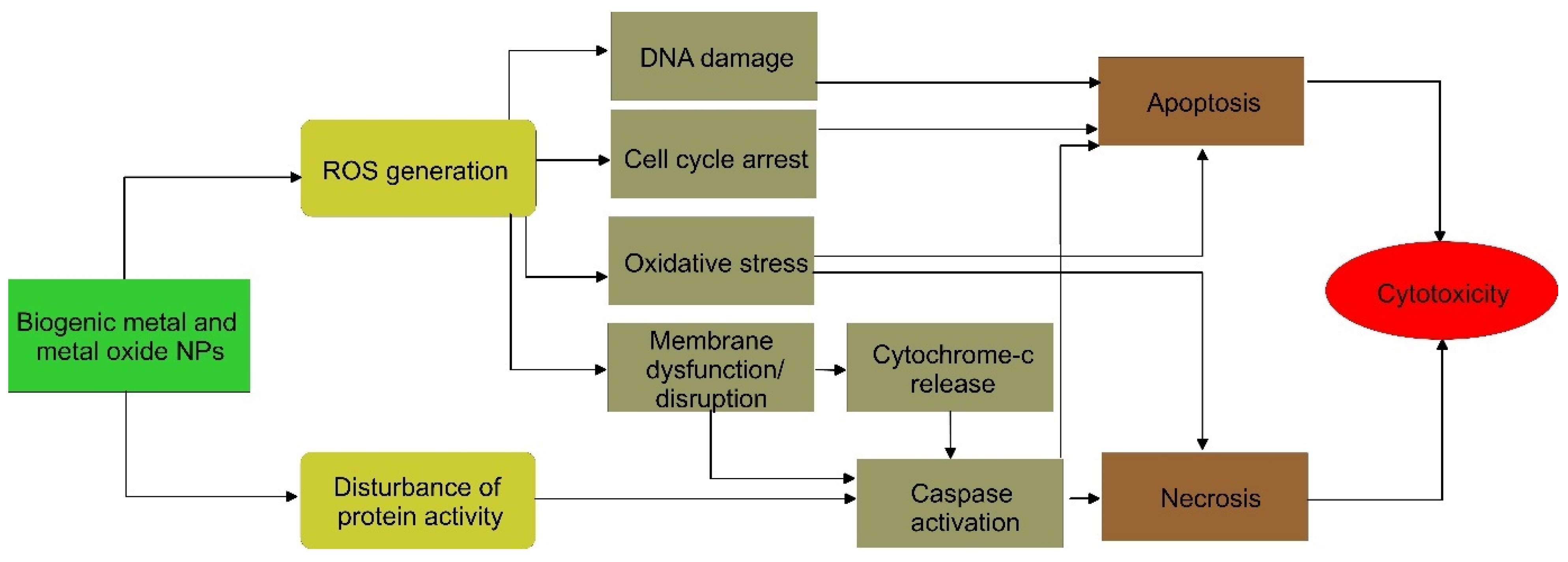 Pharmaceutics 15 01650 g005
