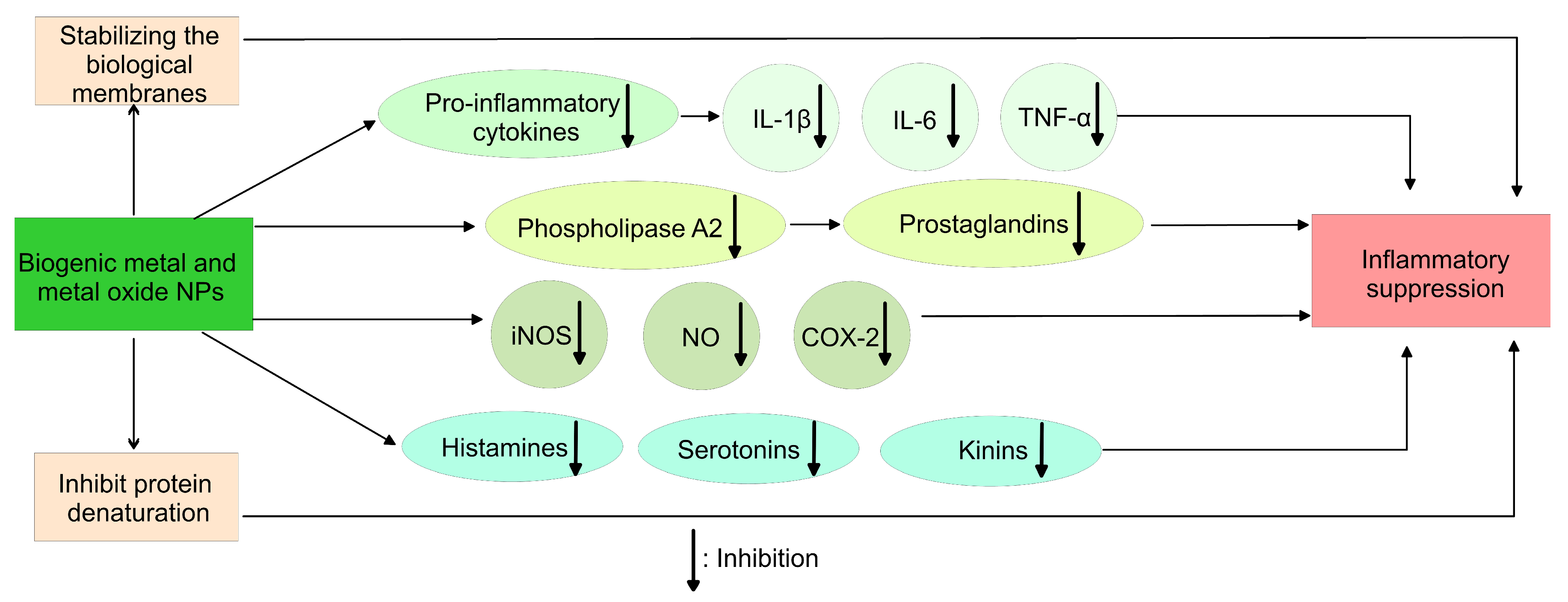 Pharmaceutics 15 01650 g007