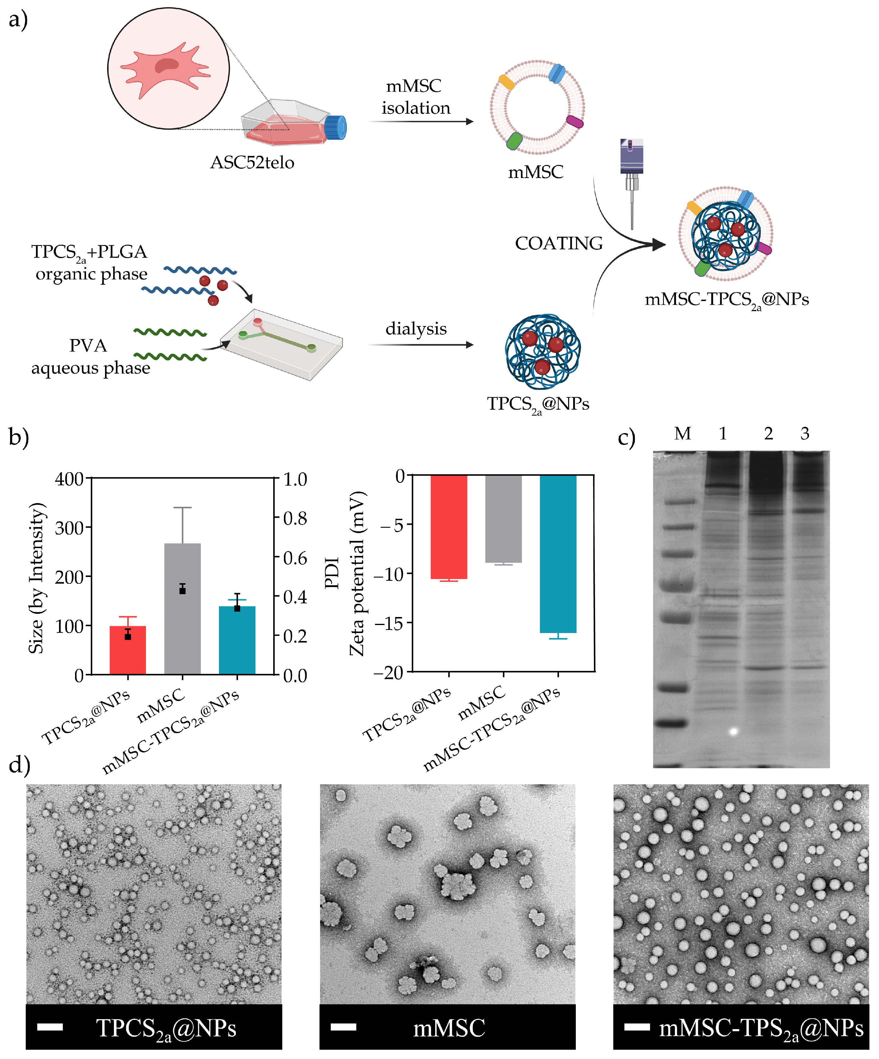 Pharmaceutics 15 01654 g001