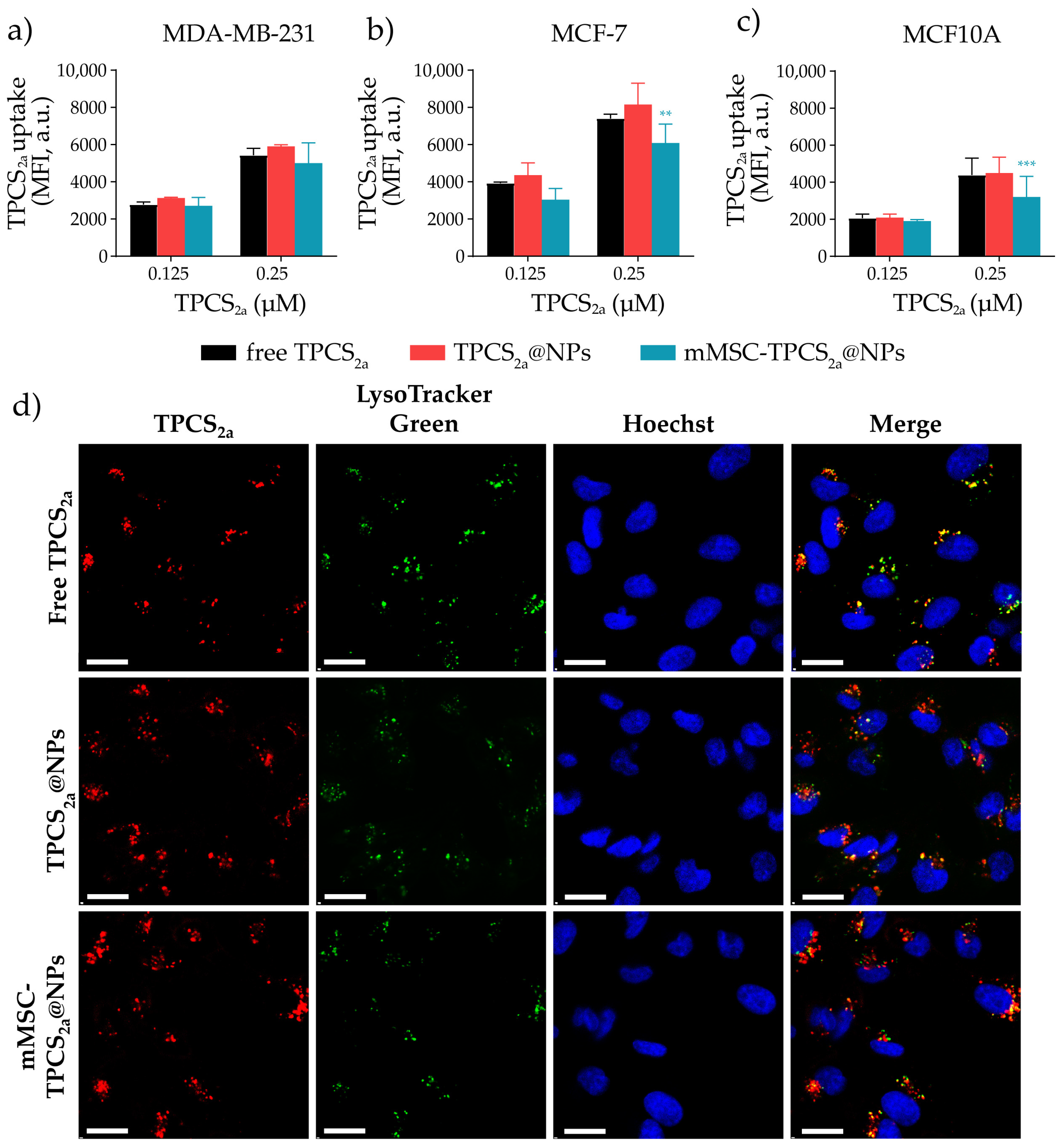 Pharmaceutics 15 01654 g004