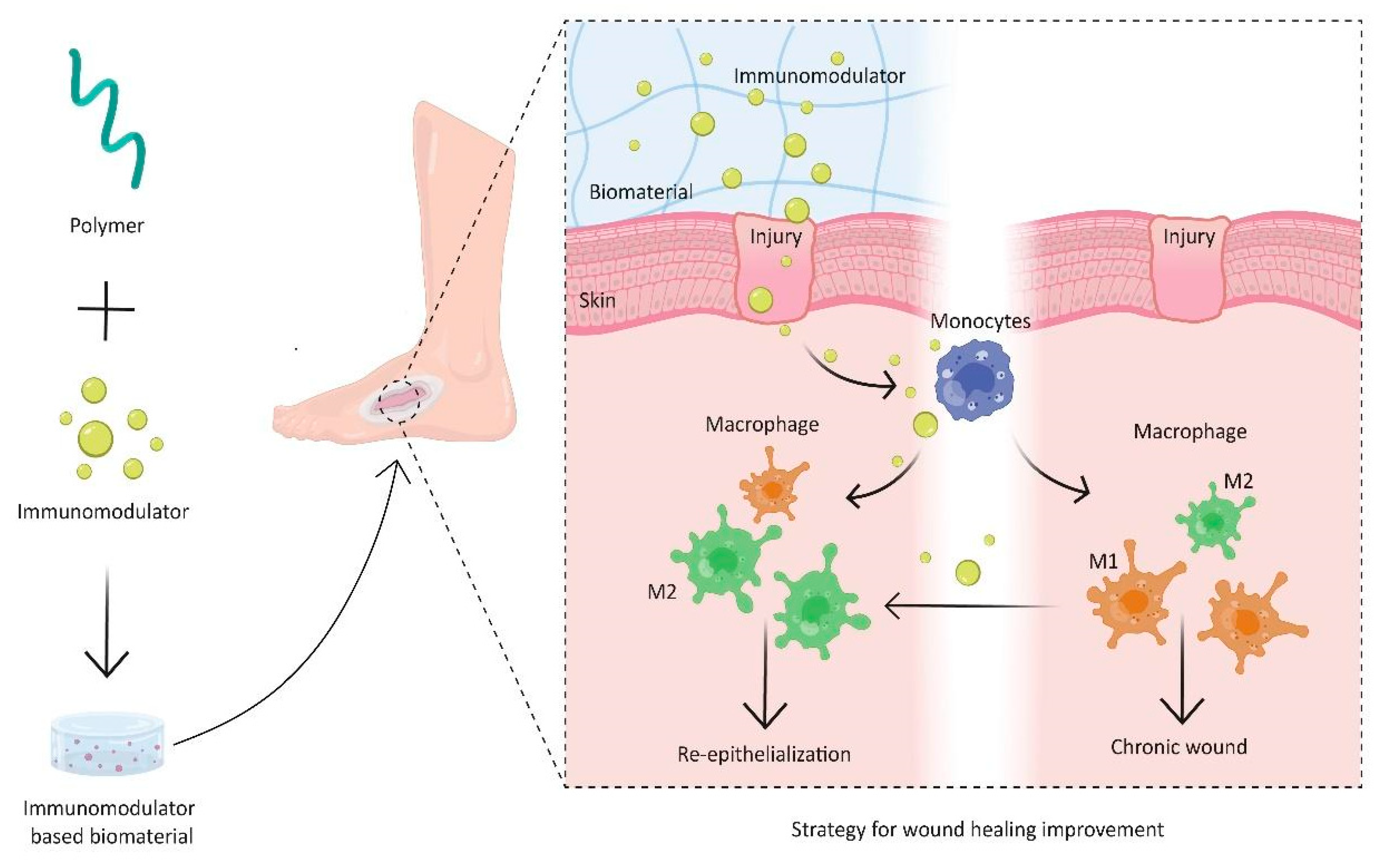 Pharmaceutics 15 01655 g001