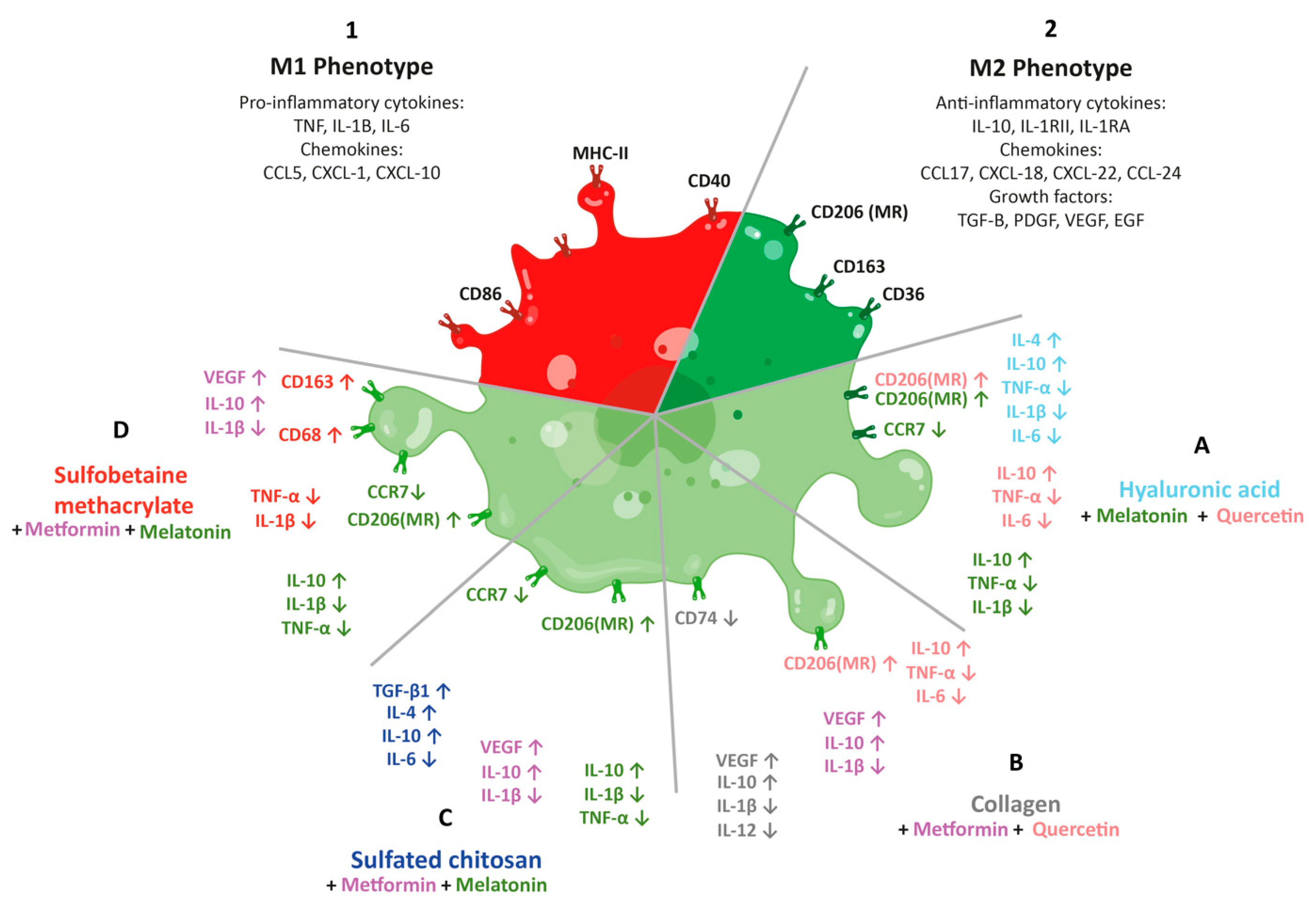 Pharmaceutics 15 01655 g002