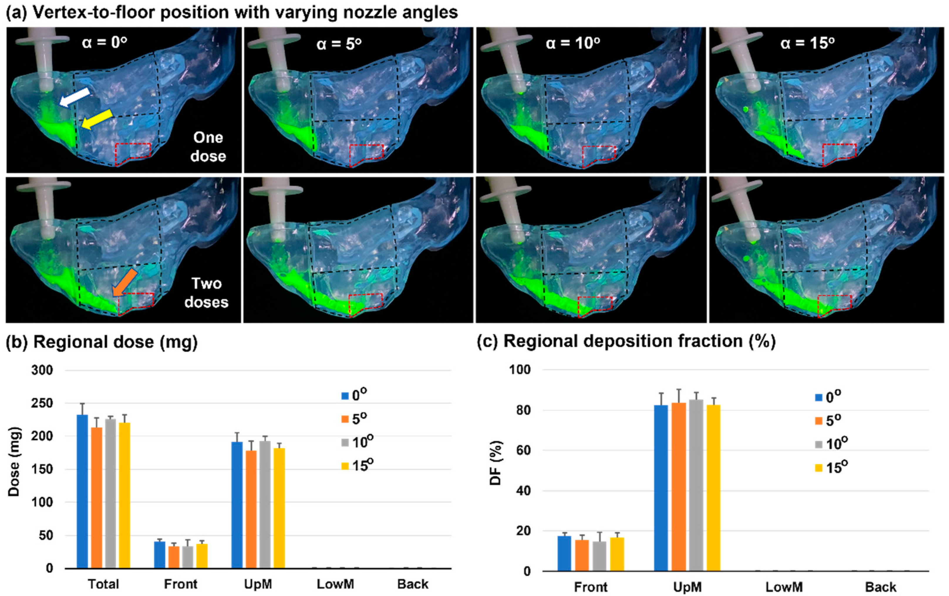 Pharmaceutics 15 01657 g004