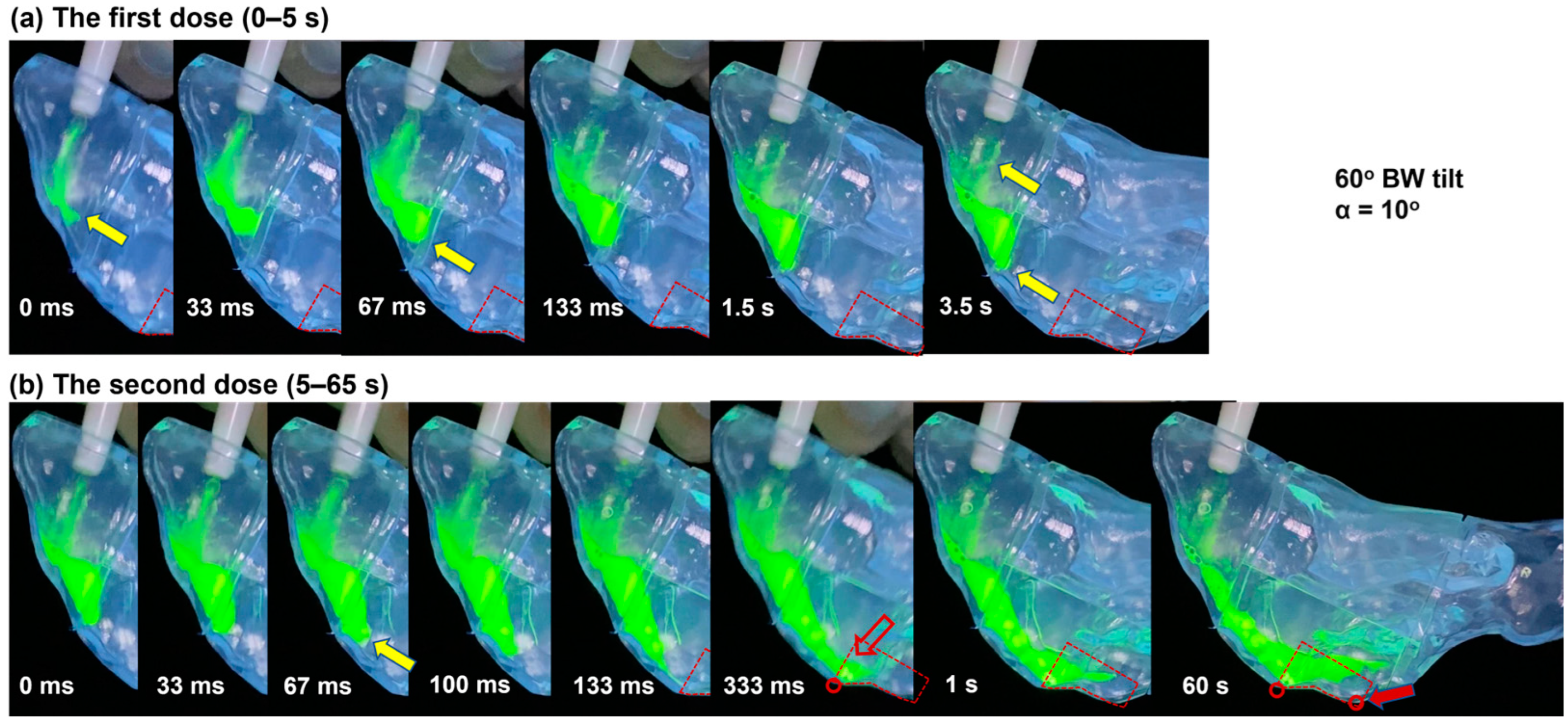 Pharmaceutics 15 01657 g006