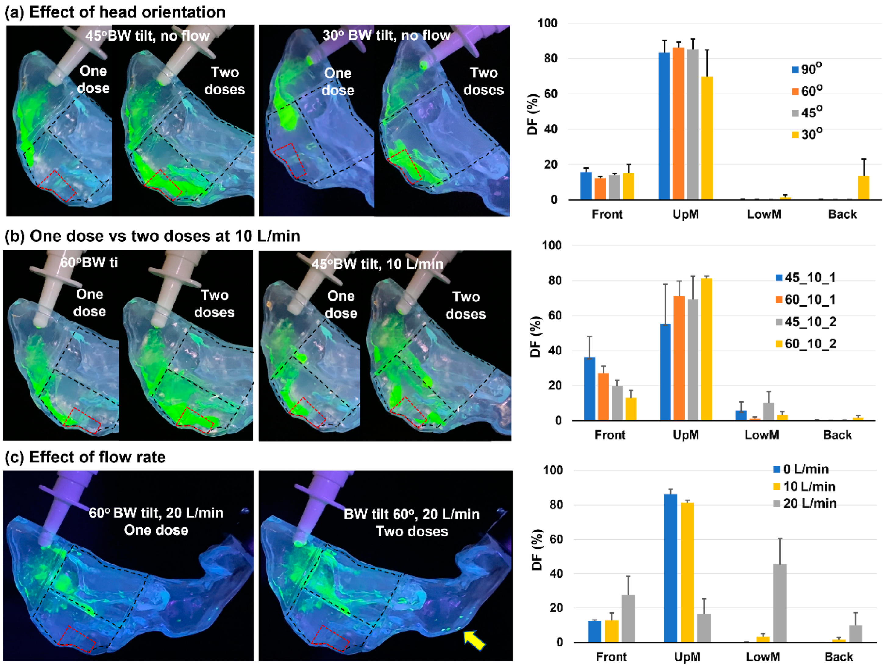 Pharmaceutics 15 01657 g007