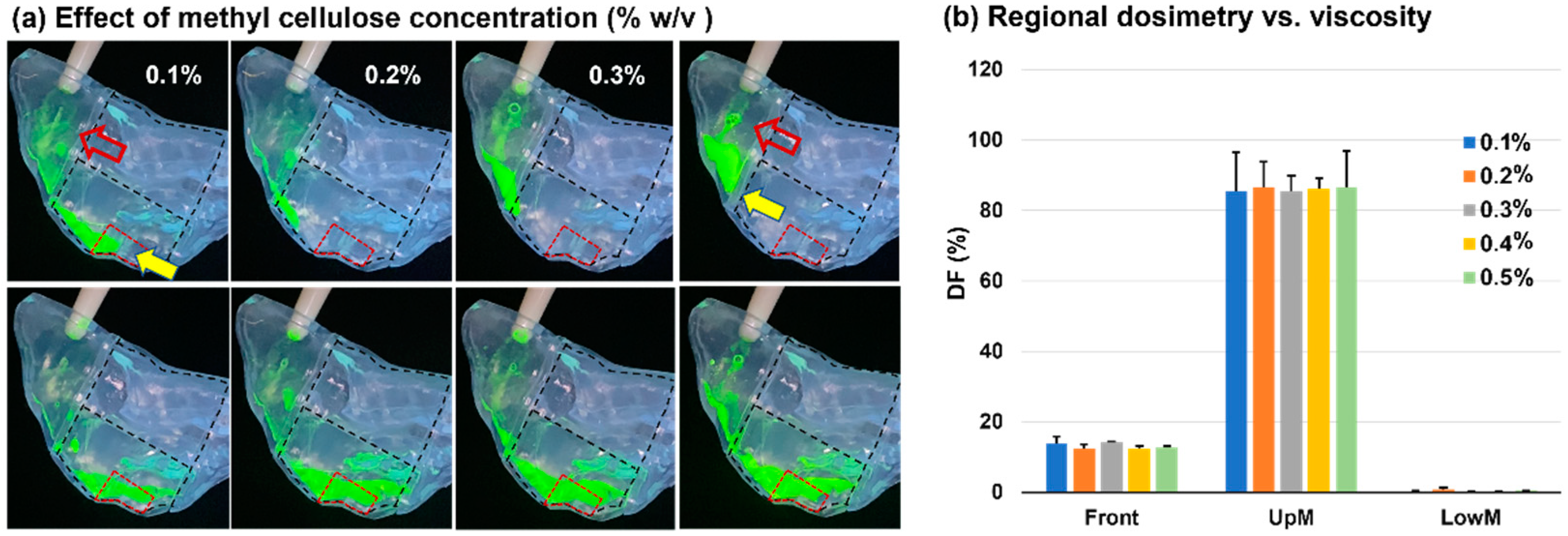 Pharmaceutics 15 01657 g008