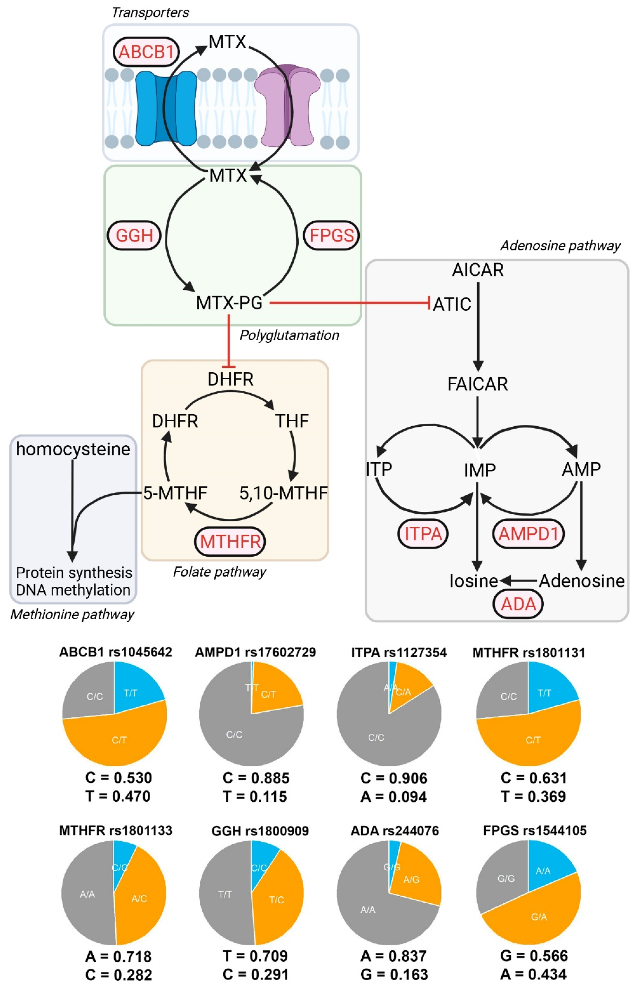 Pharmaceutics 15 01661 g001