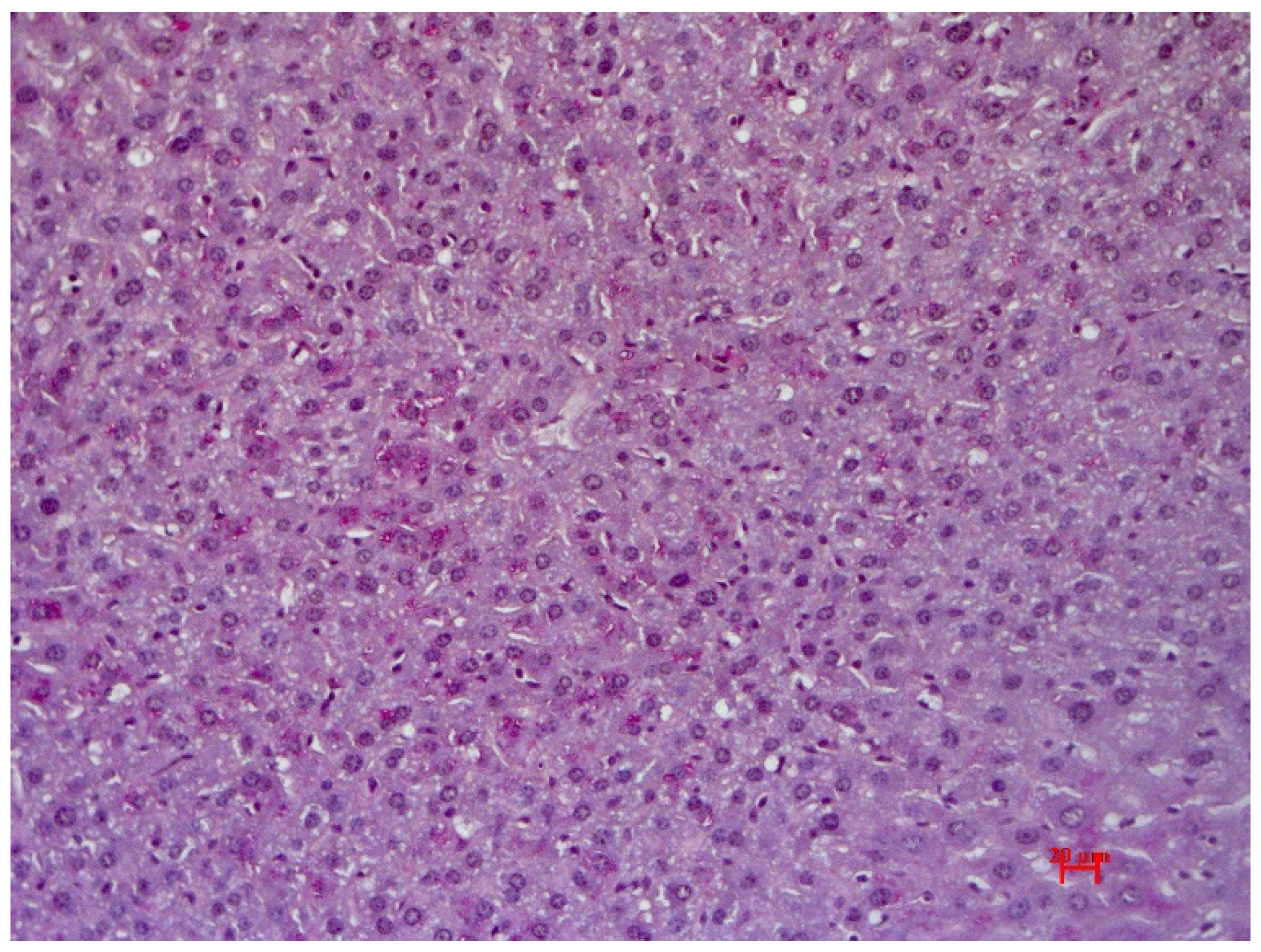 Pharmaceutics 15 01670 g008 Pharmaceutics 15 01670 g008
