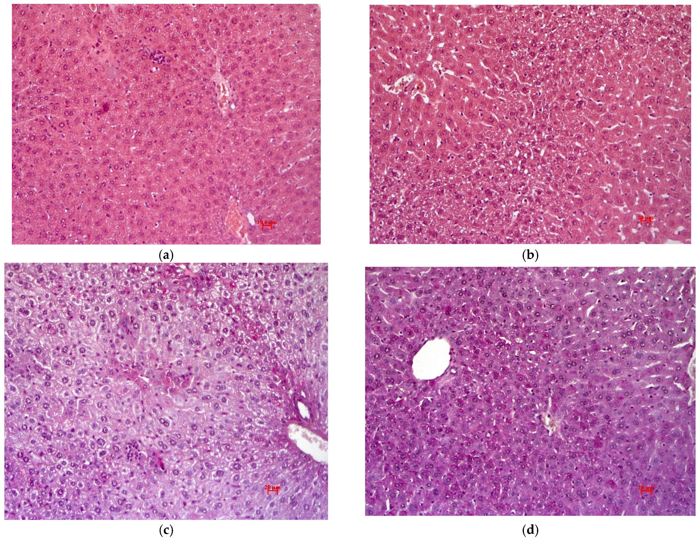 Pharmaceutics 15 01670 g009 Pharmaceutics 15 01670 g009