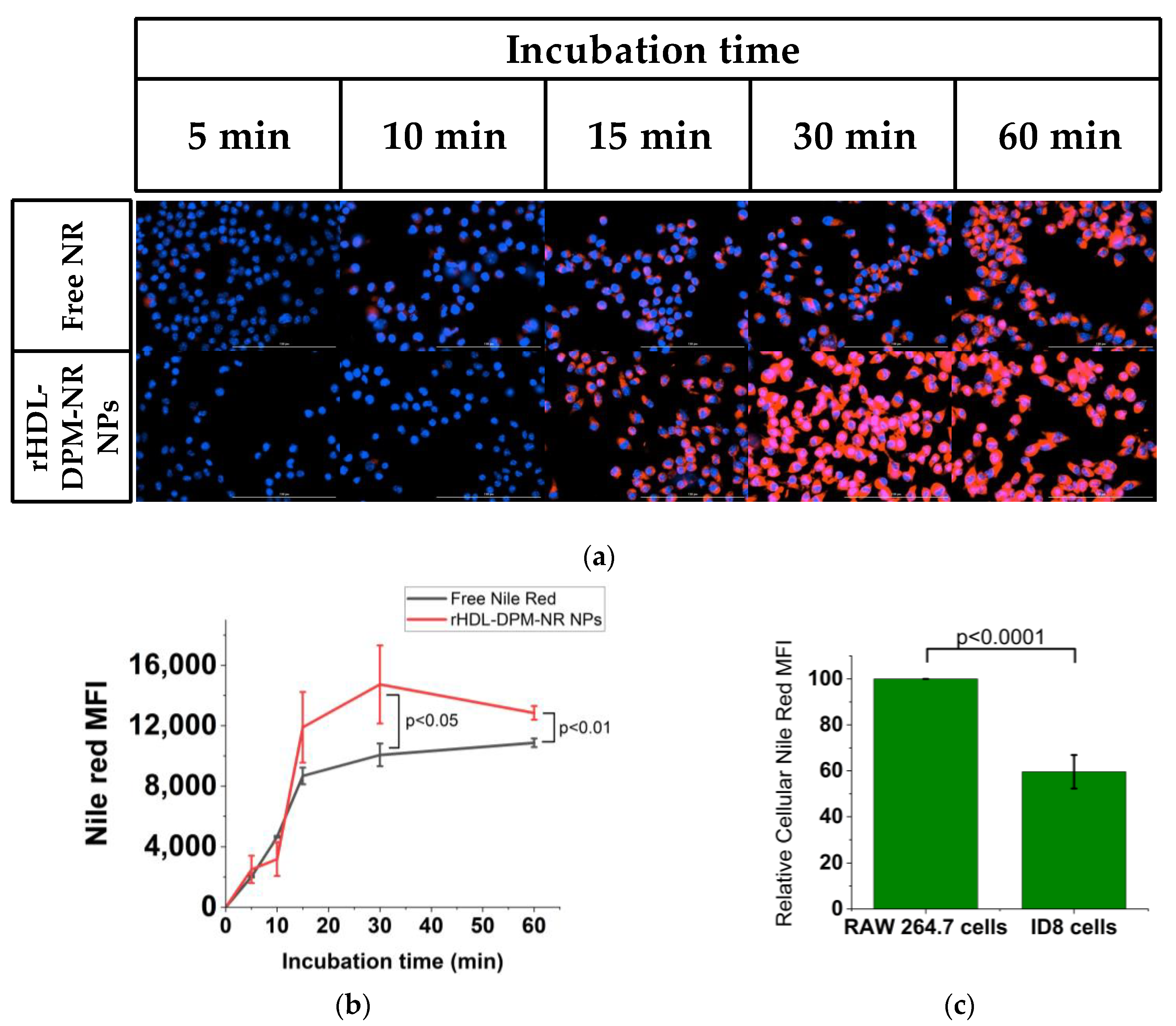 Pharmaceutics 15 01685 g006a