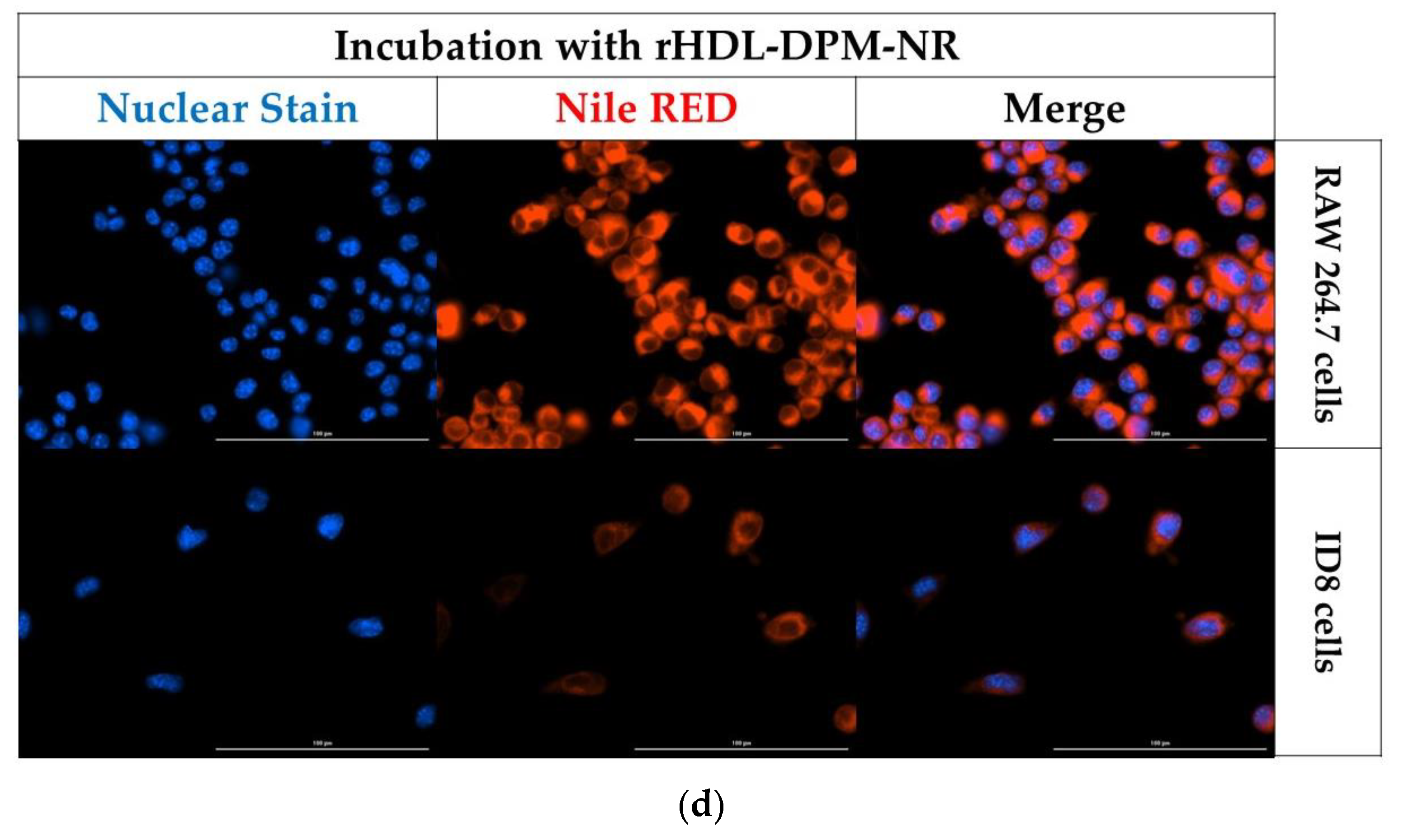 Pharmaceutics 15 01685 g006b