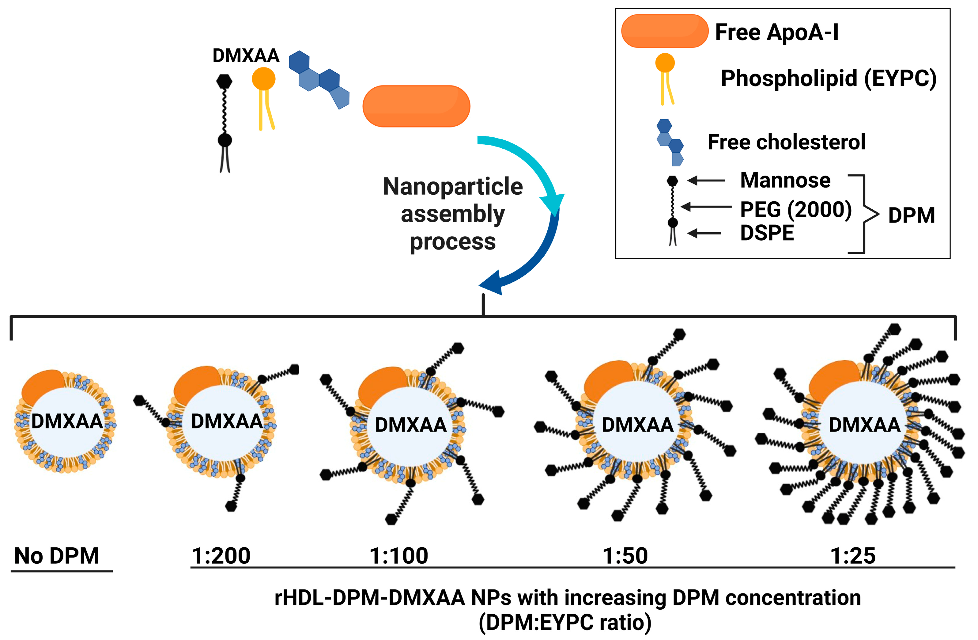 Pharmaceutics 15 01685 sch001