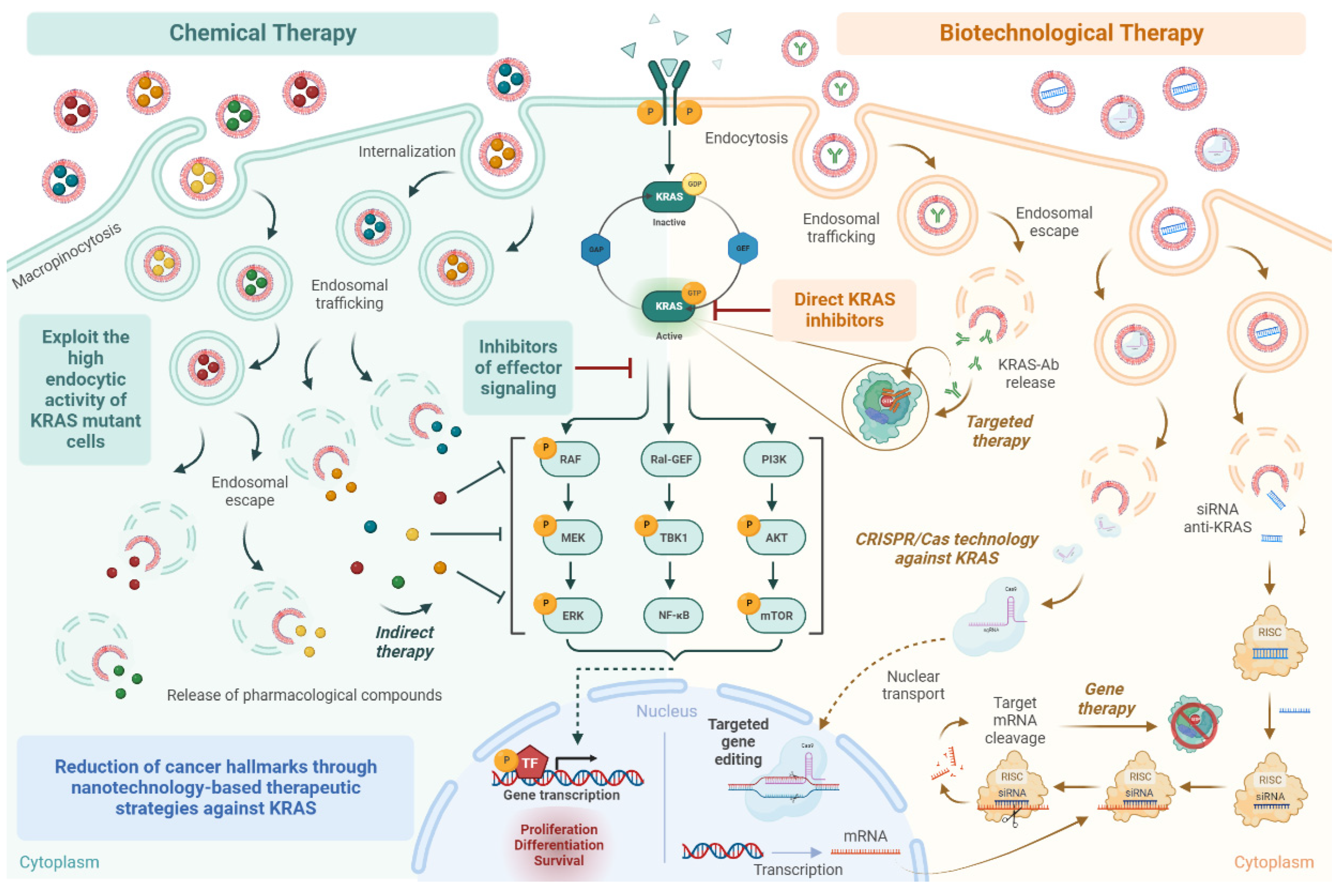 Pharmaceutics 15 01686 g002