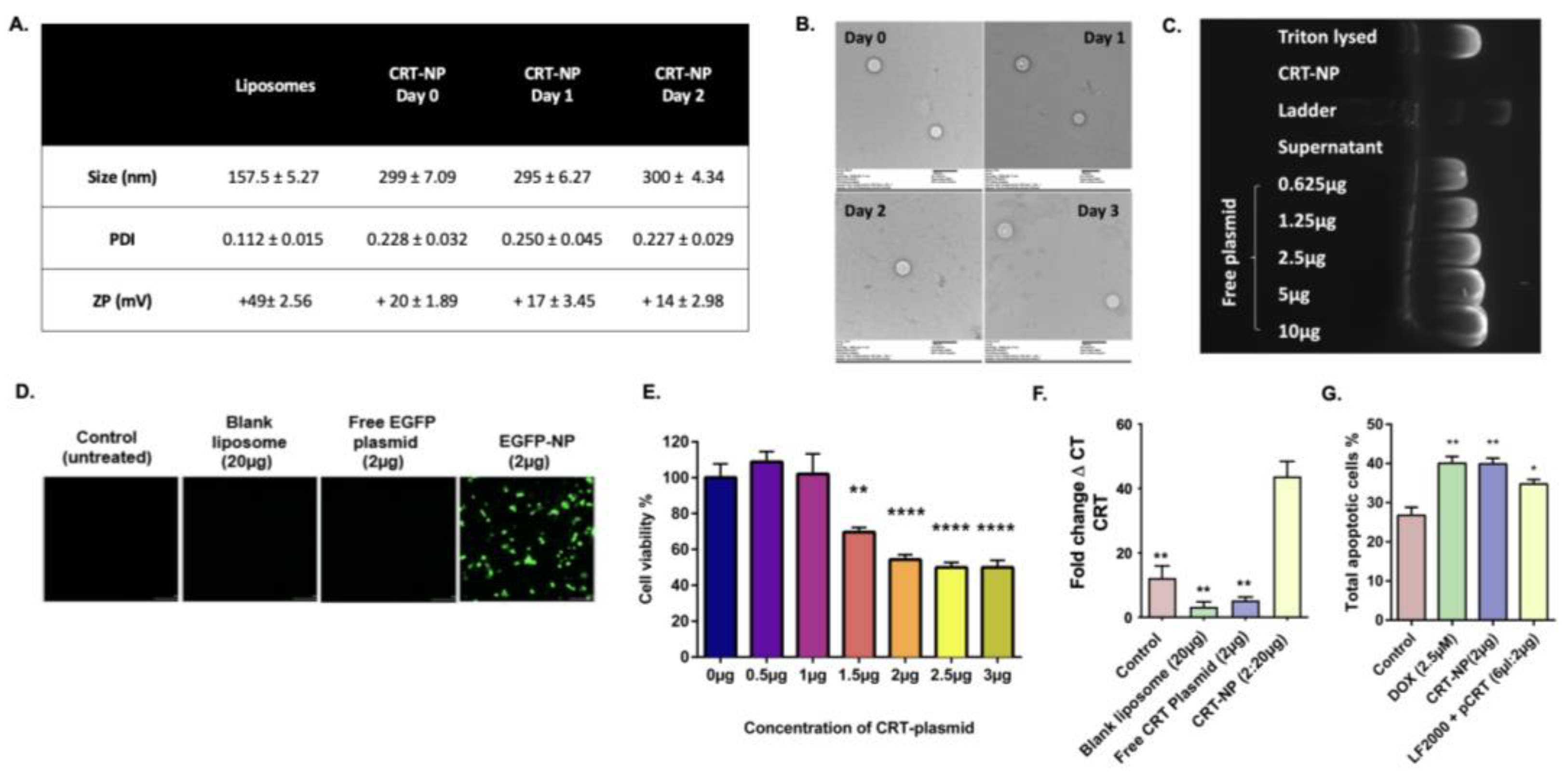 Pharmaceutics 15 01693 g001