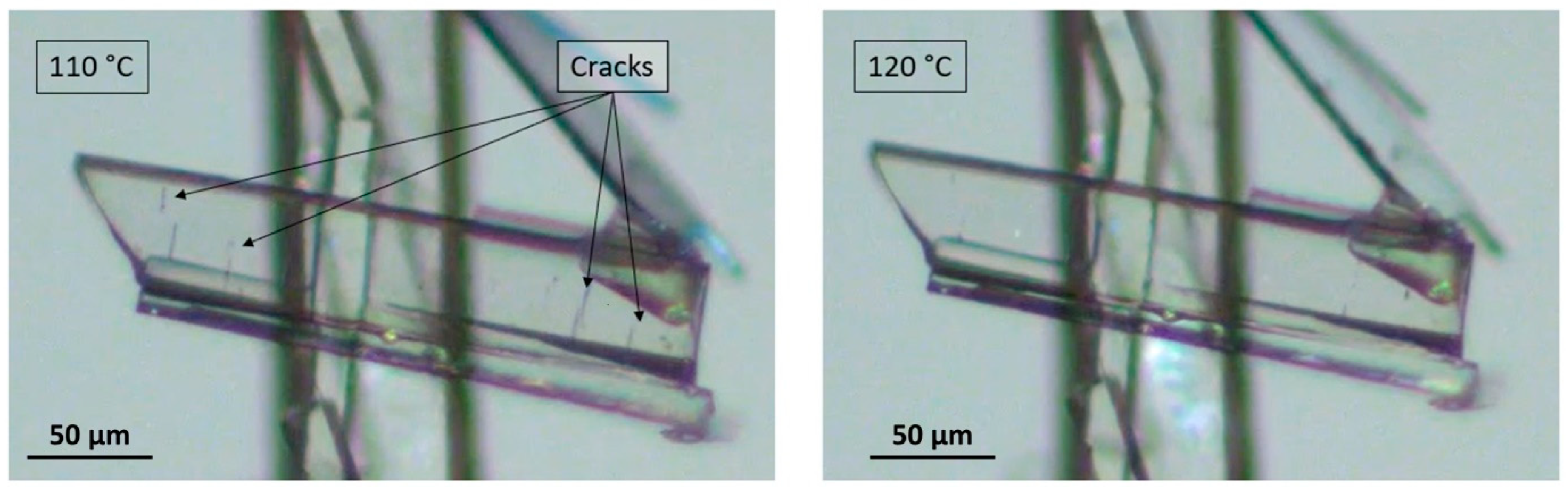 Pharmaceutics 15 01694 g003