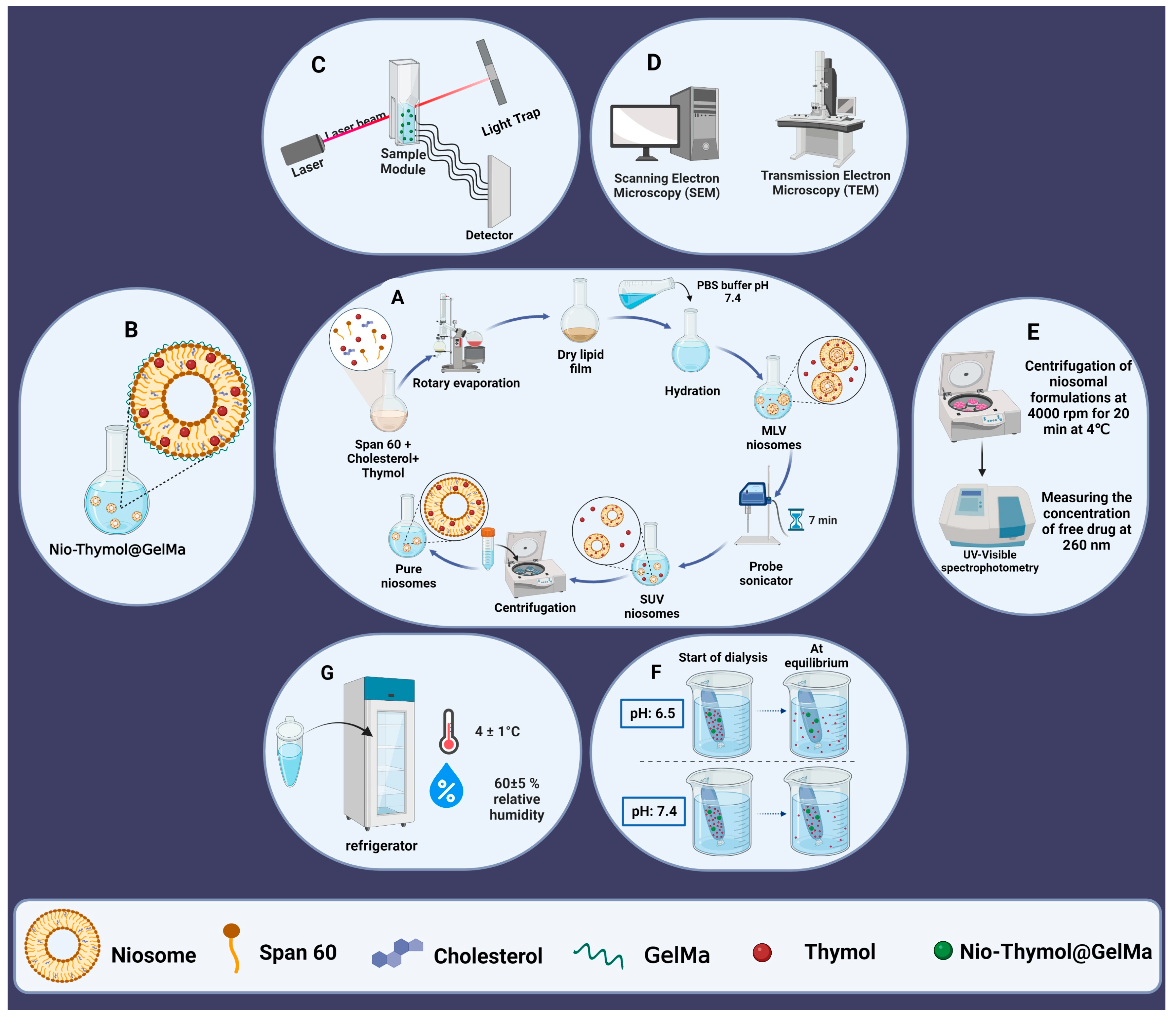 Pharmaceutics 15 01699 g001