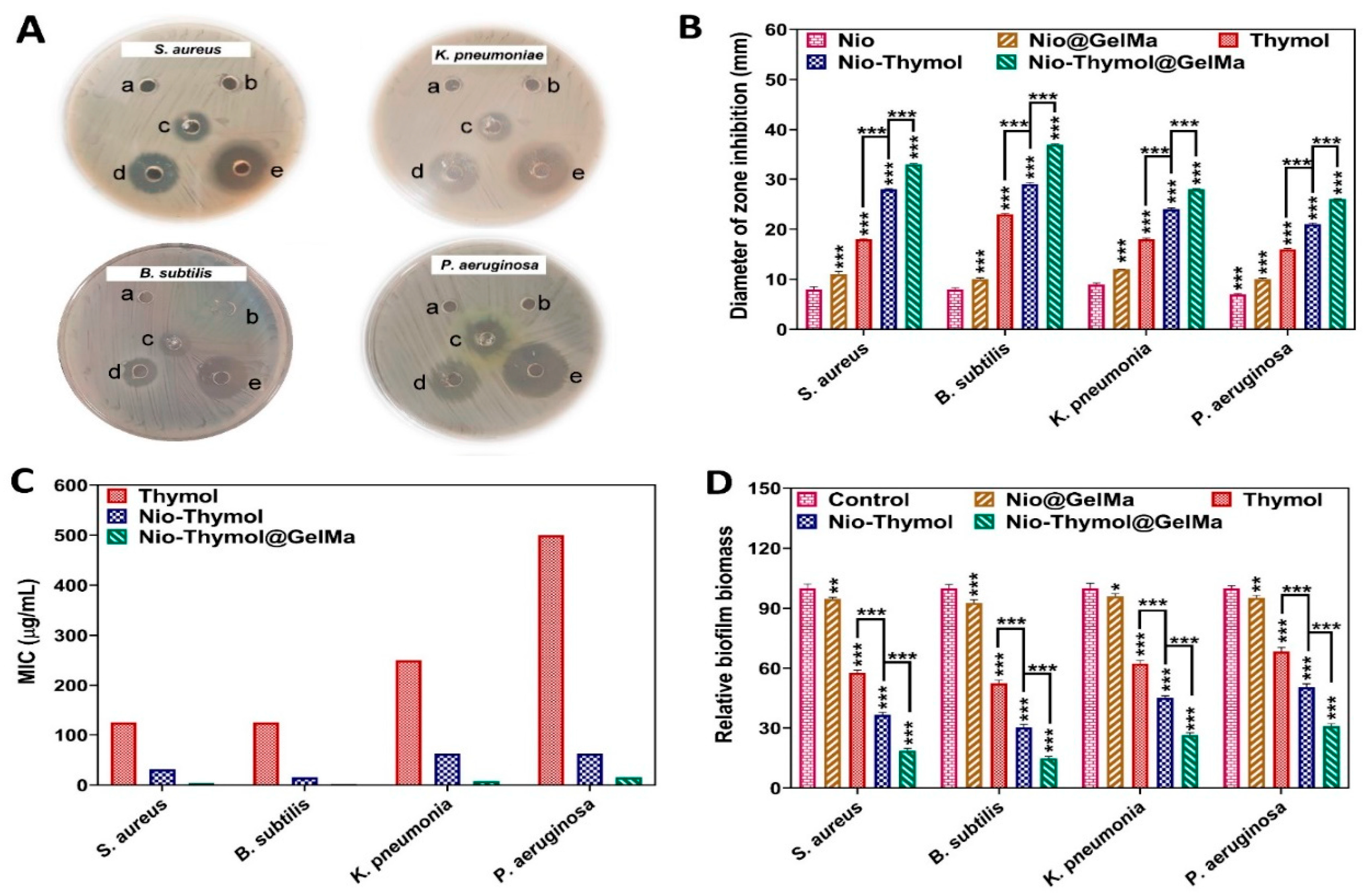 Pharmaceutics 15 01699 g003