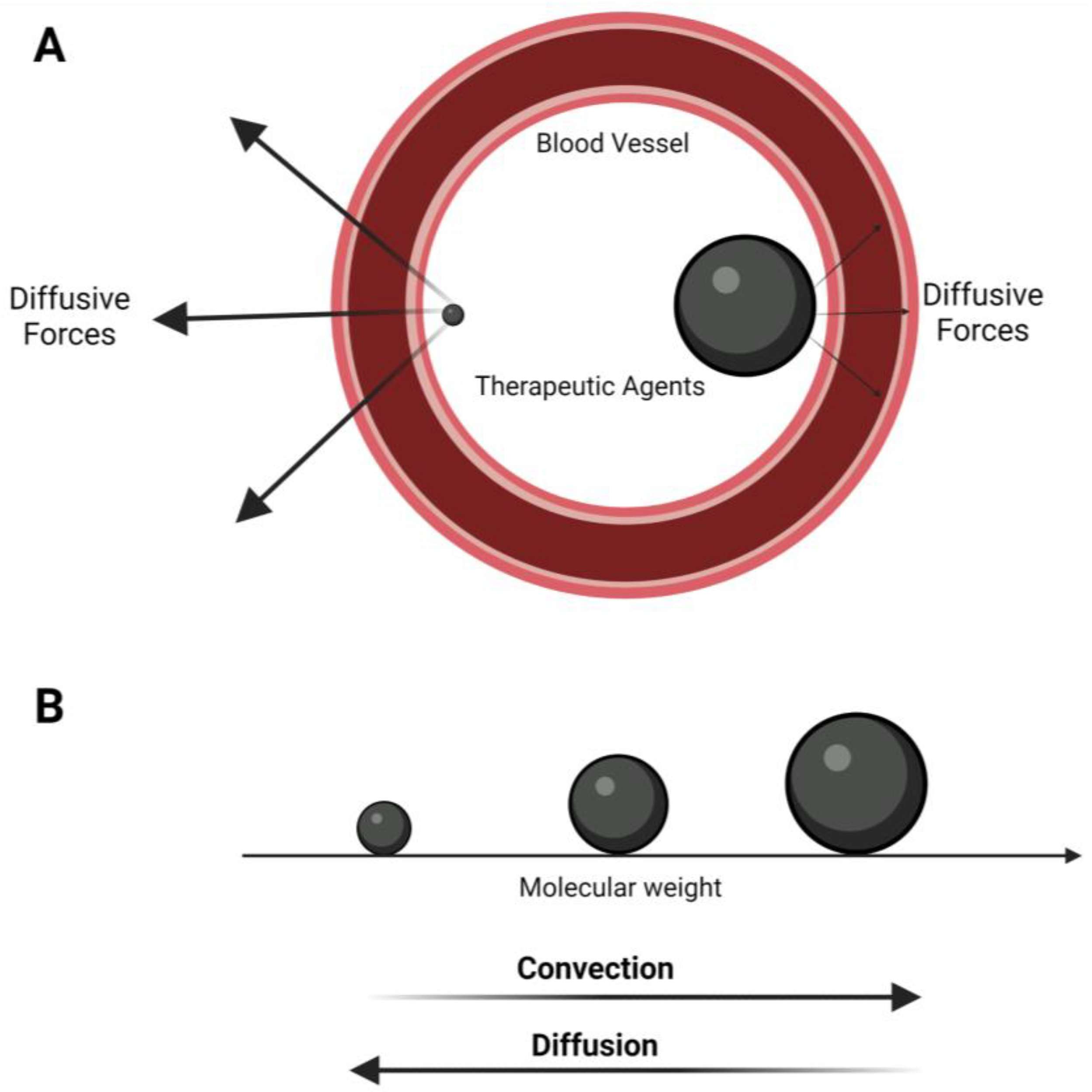 Pharmaceutics 15 01705 g001