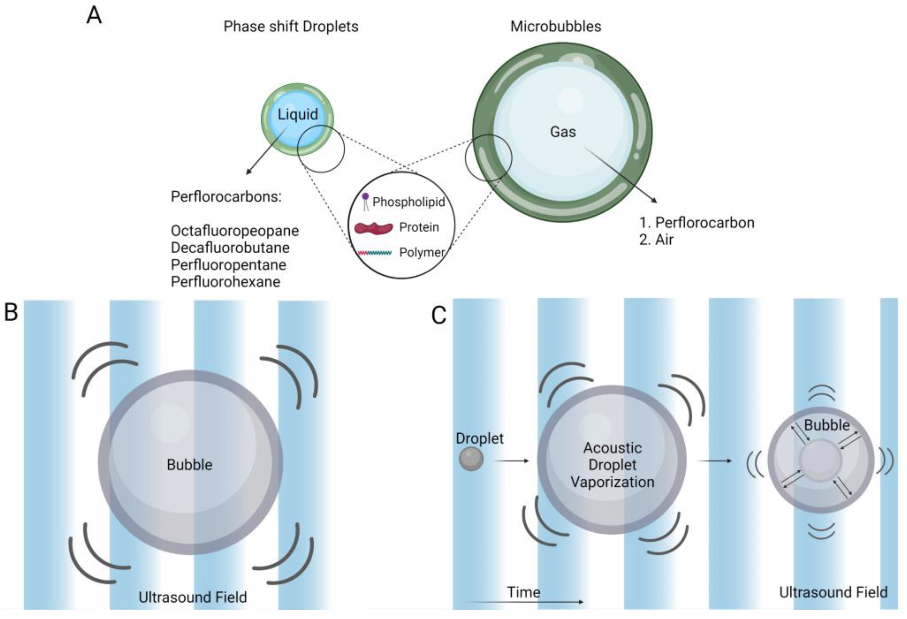Pharmaceutics 15 01705 g002