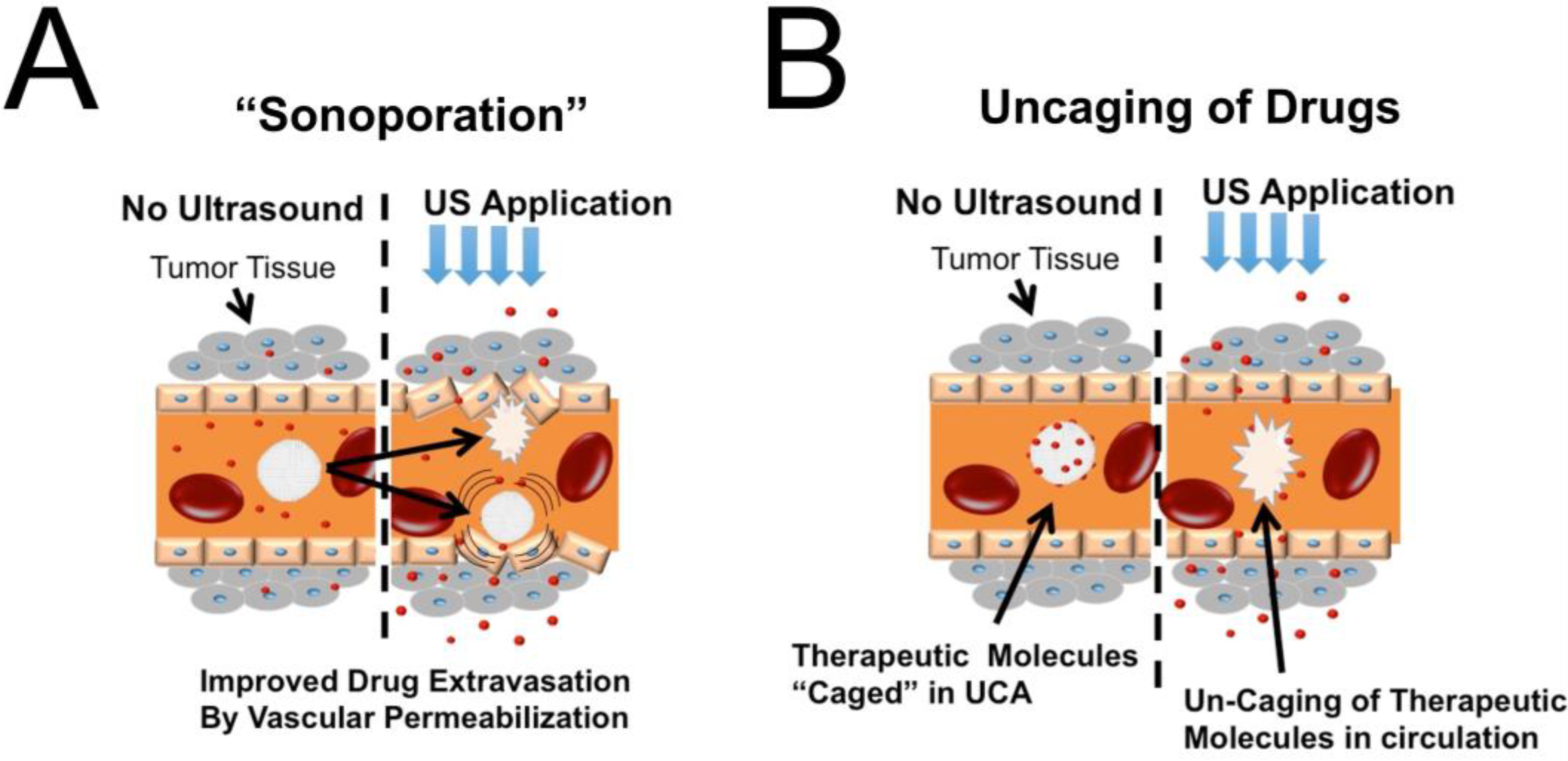 Pharmaceutics 15 01705 g003