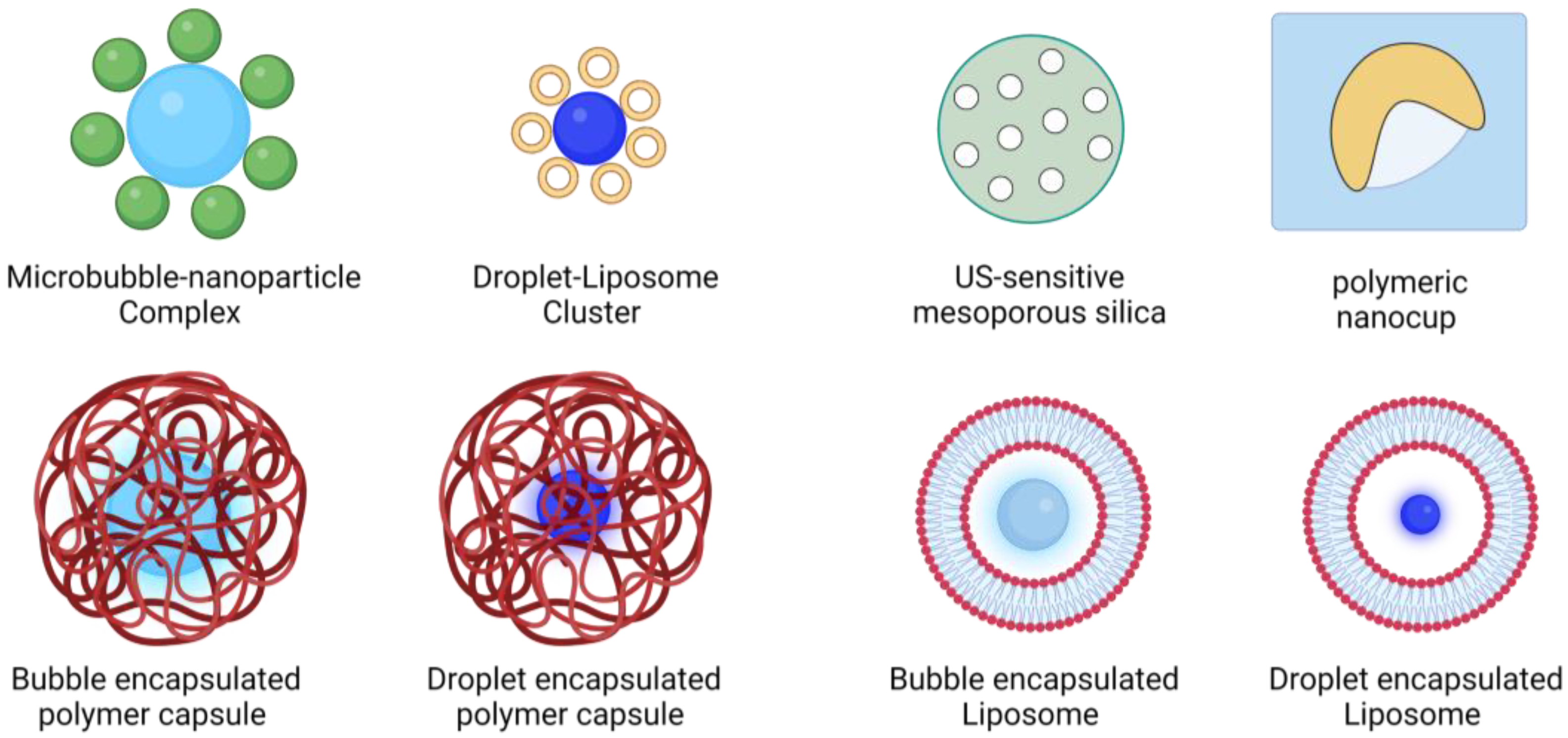 Pharmaceutics 15 01705 g004