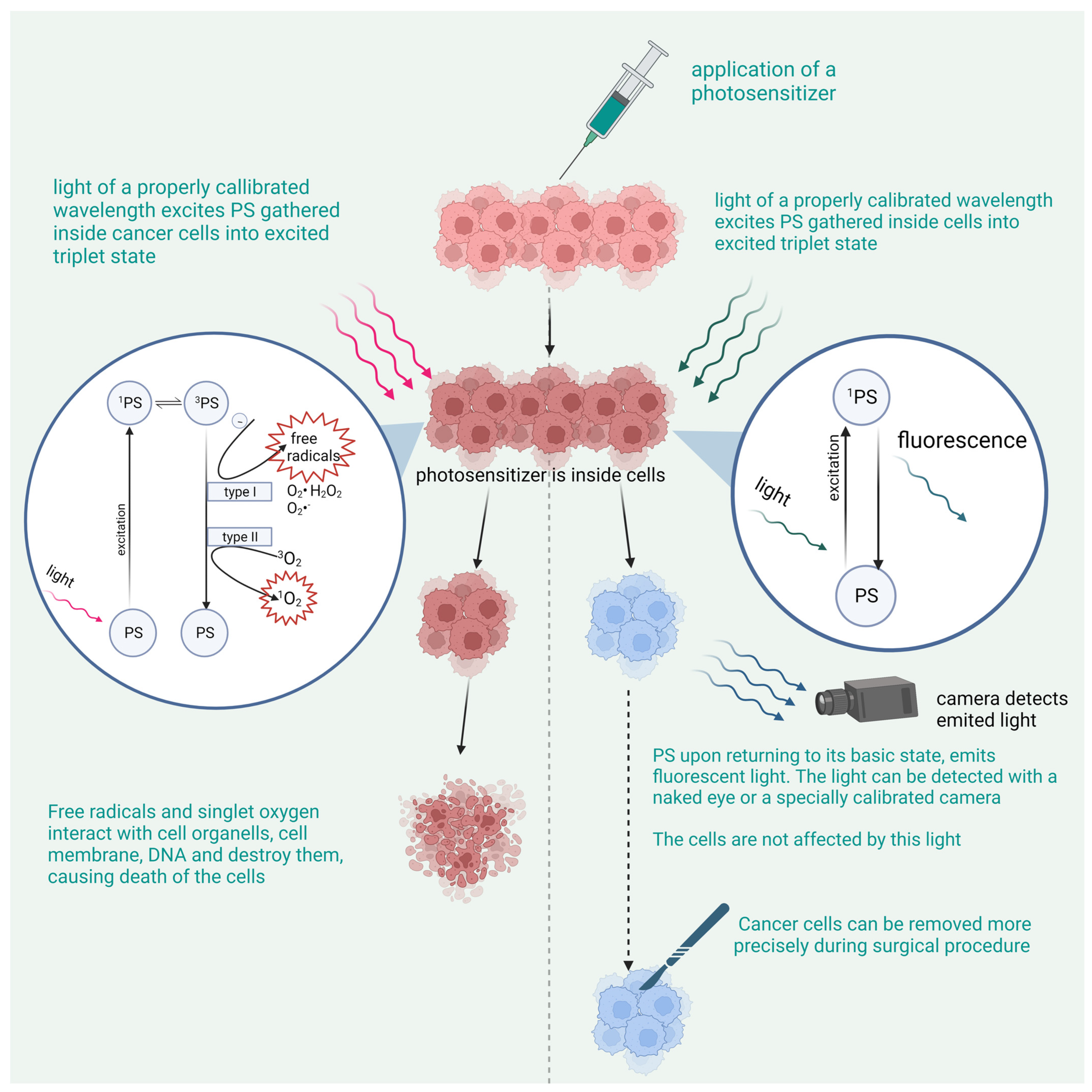 Pharmaceutics 15 01712 g001