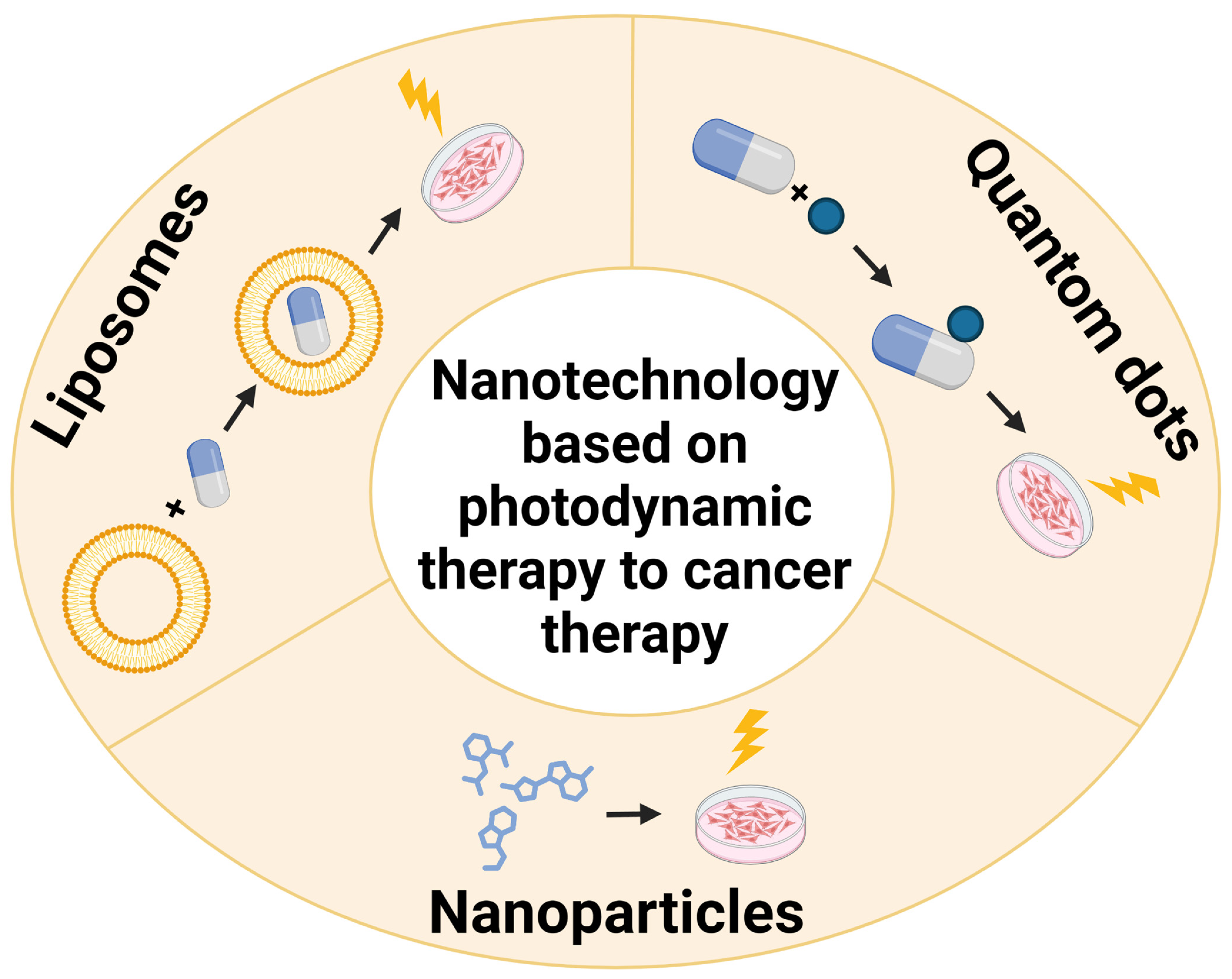 Pharmaceutics 15 01712 g002