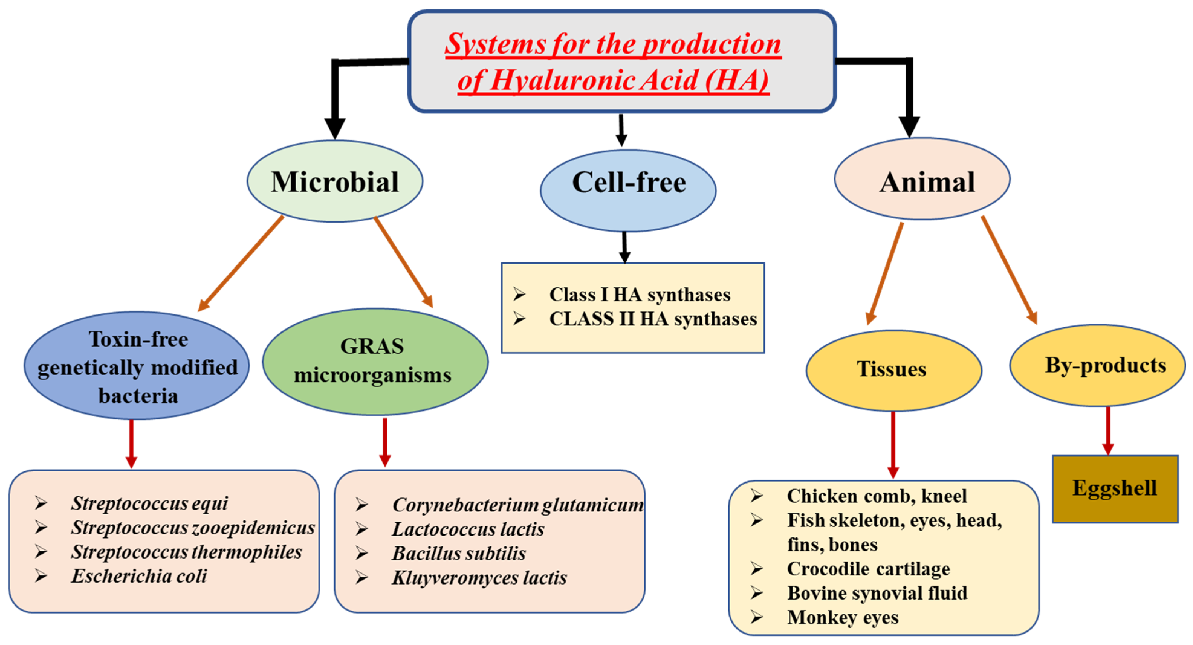 Pharmaceutics 15 01713 g001