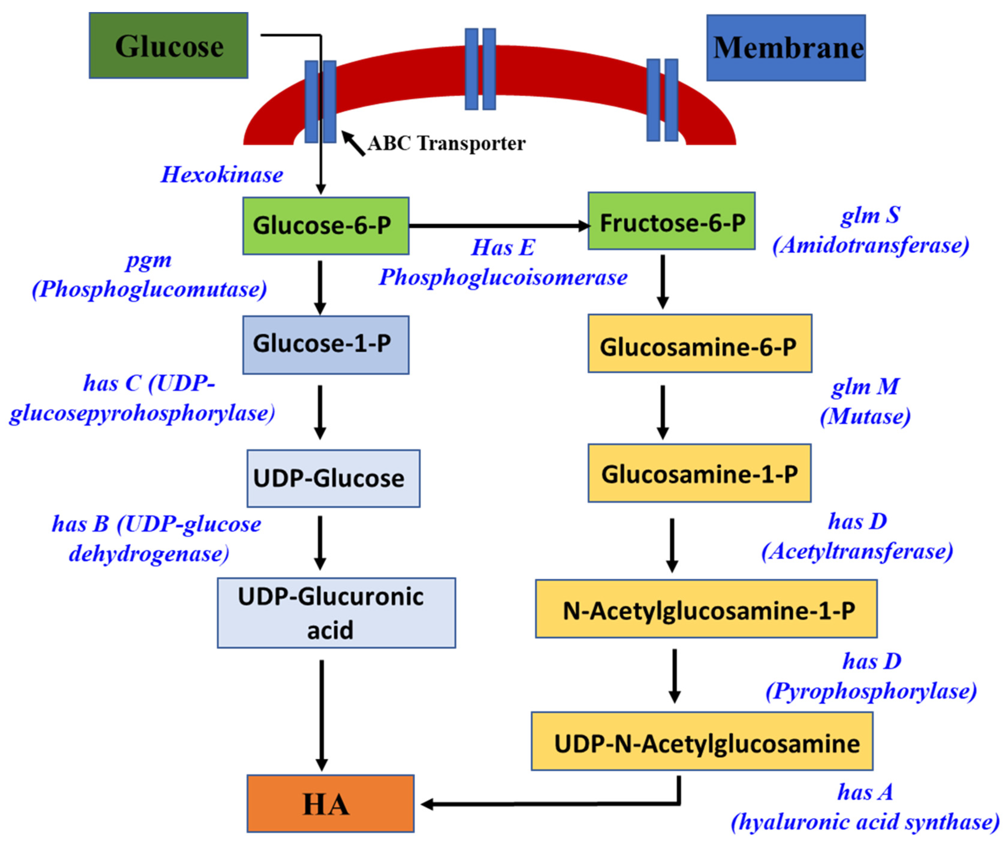 Pharmaceutics 15 01713 g002