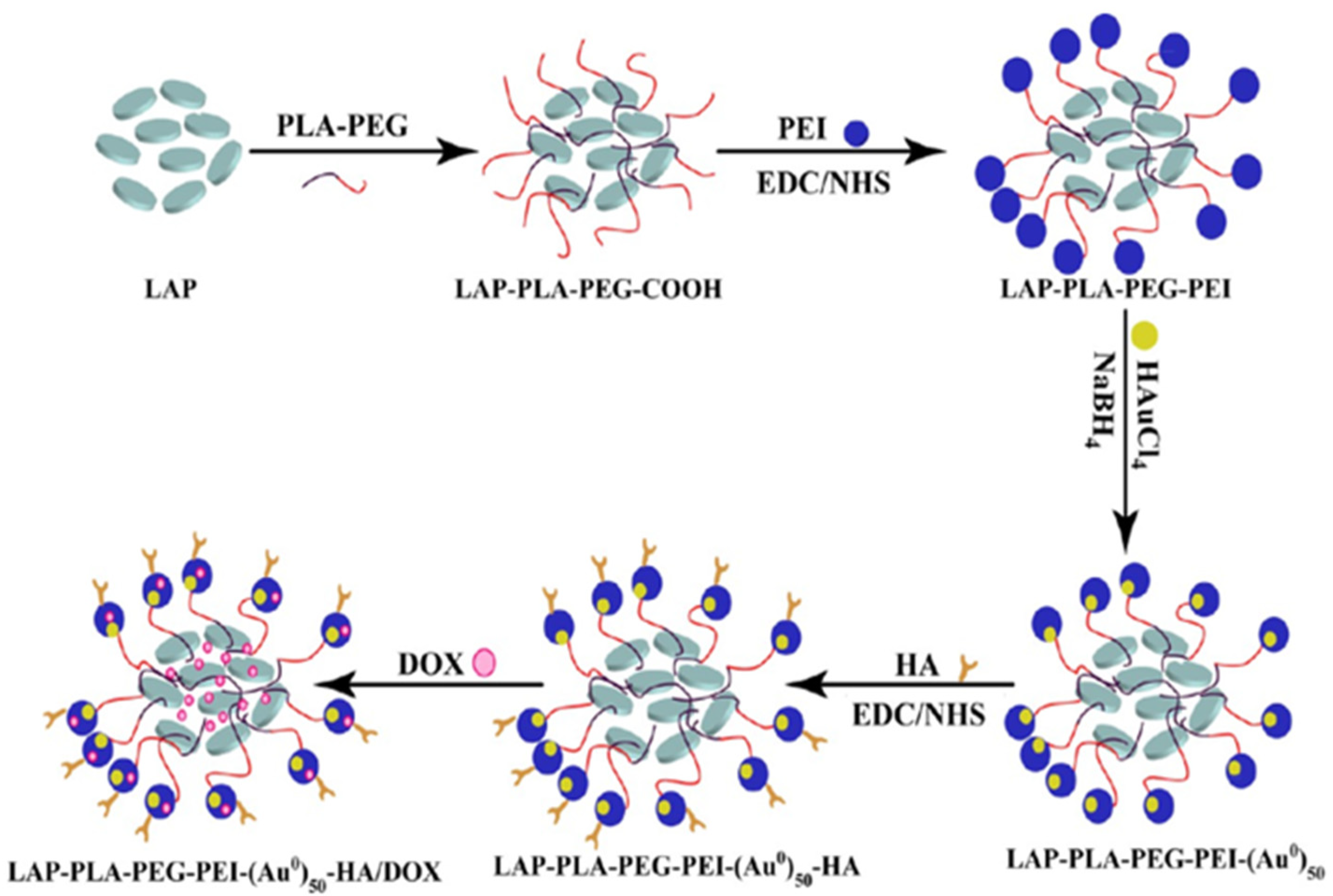 Pharmaceutics 15 01713 g003